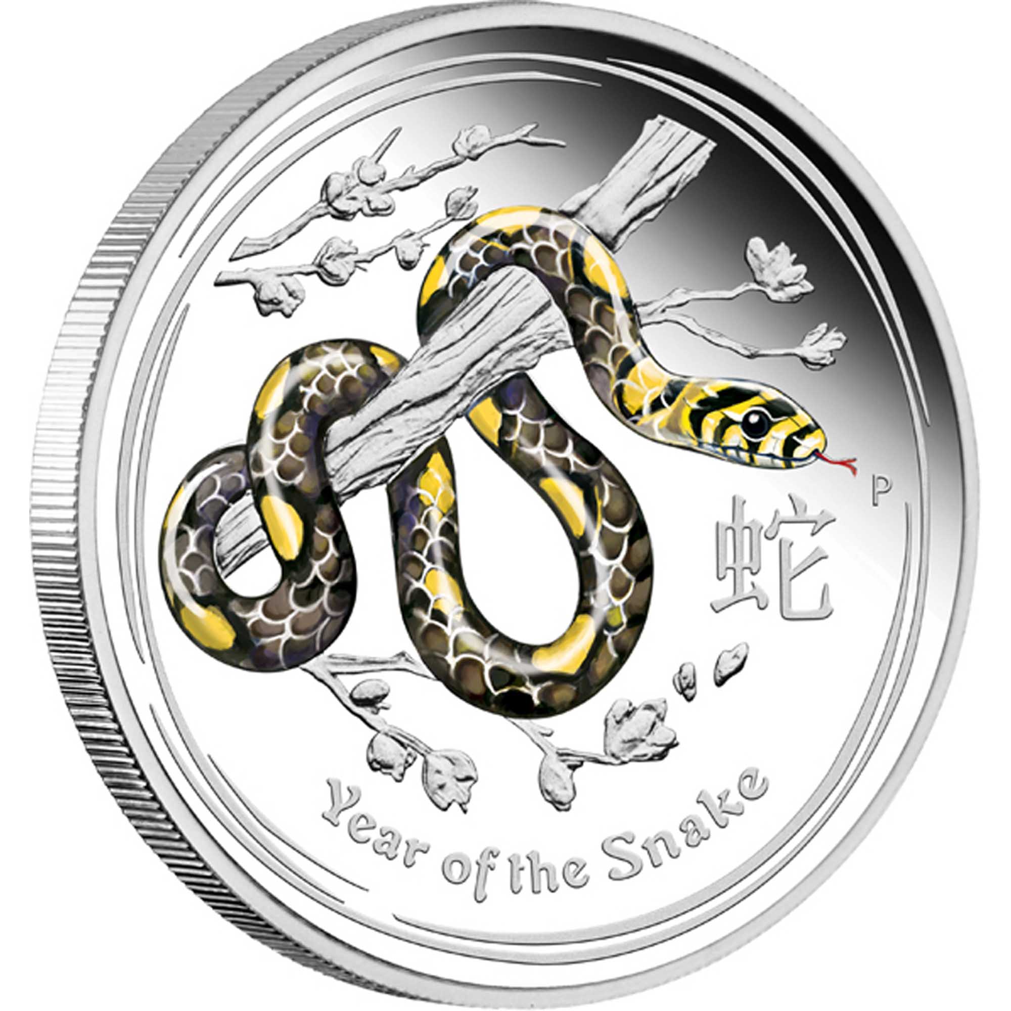 Australian Lunar Snake 2013 1 2oz Silver Proof Coloured Coin Reverse