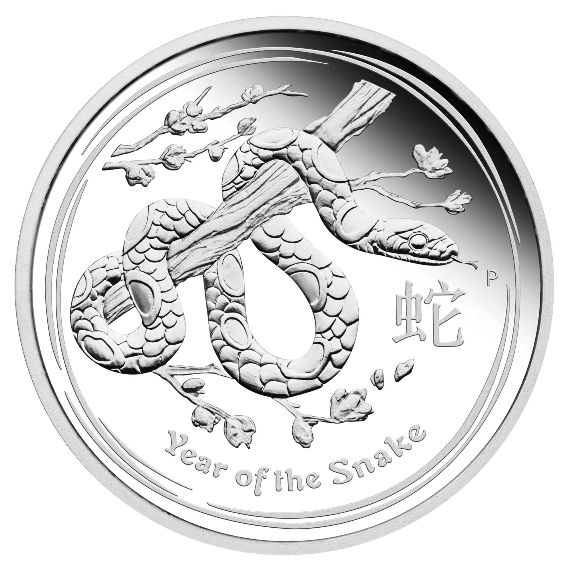02 2013 Lunar YearOfTheSnake Silver 1oz Proof StraightOn Hig