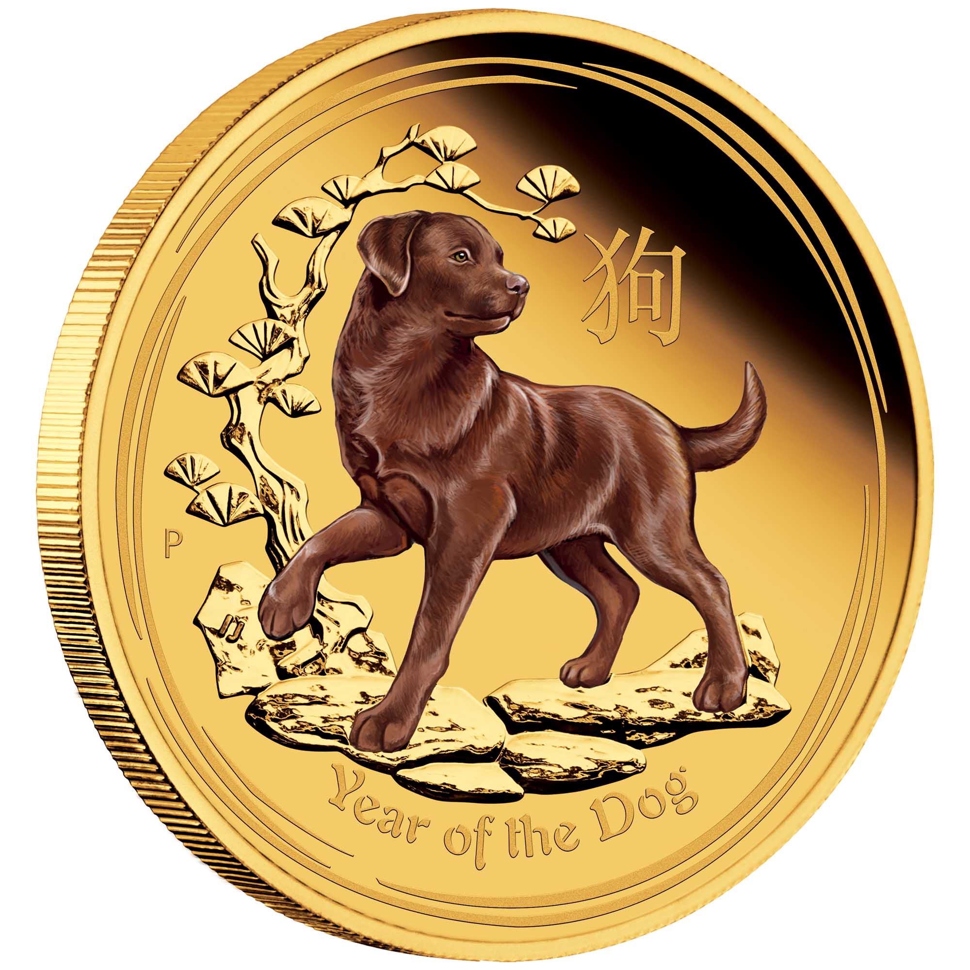 01 australian lunar gold coin series ii year of the dog 2018 1oz gold proof coloured OnEdge