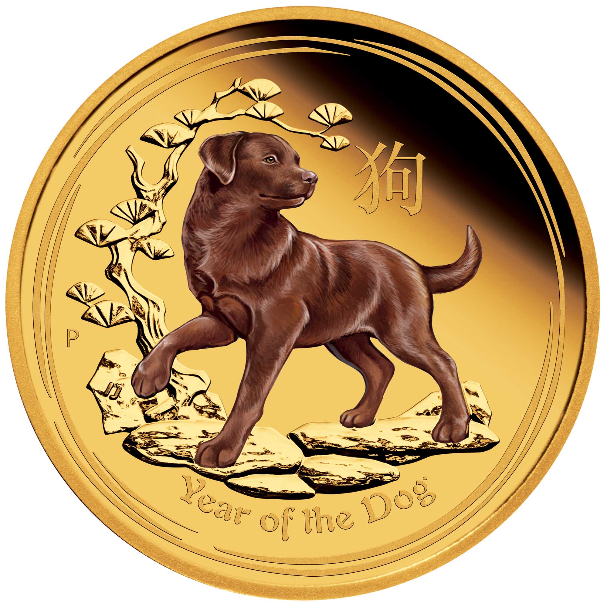 02 australian lunar gold coin series ii year of the dog 2018 1oz gold proof coloured StraightOn