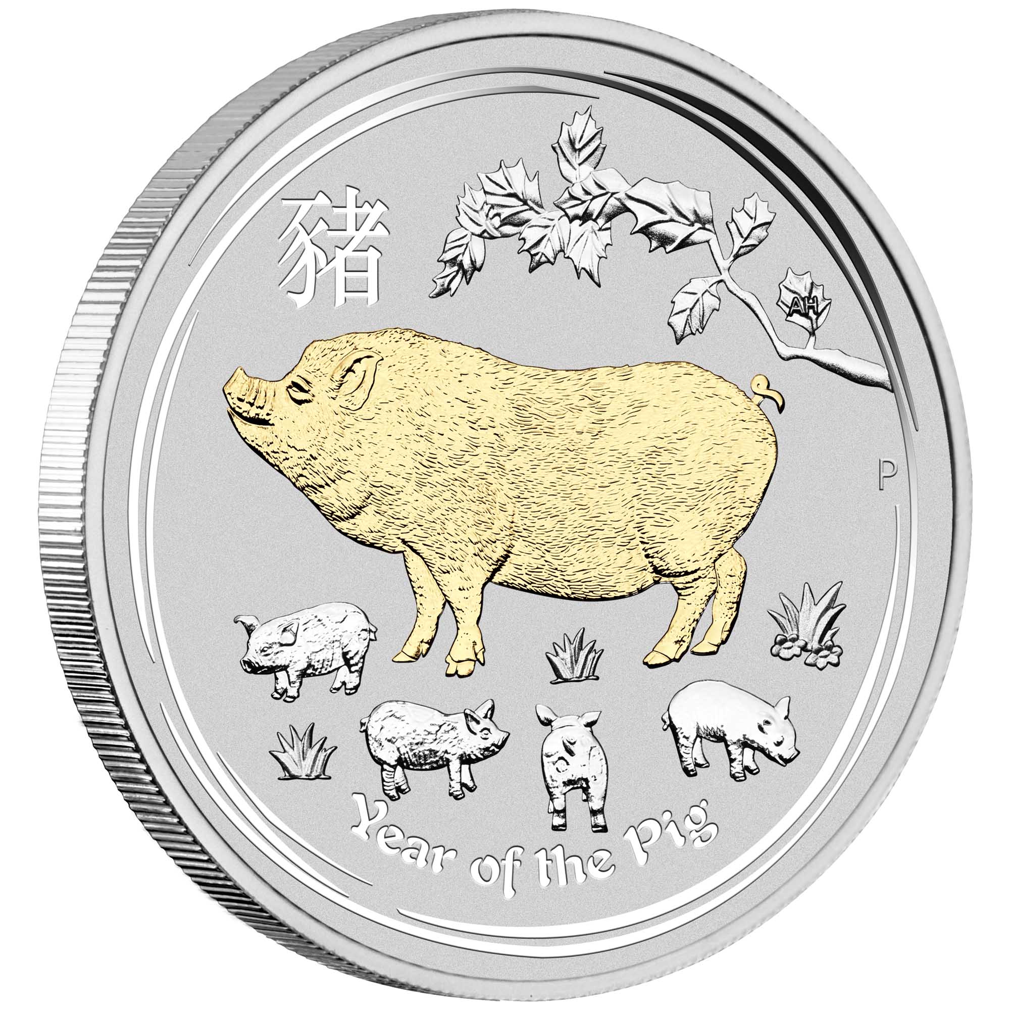 01 australian lunar silver coin series ii year of the pig 2019 1oz silver gilded OnEdge