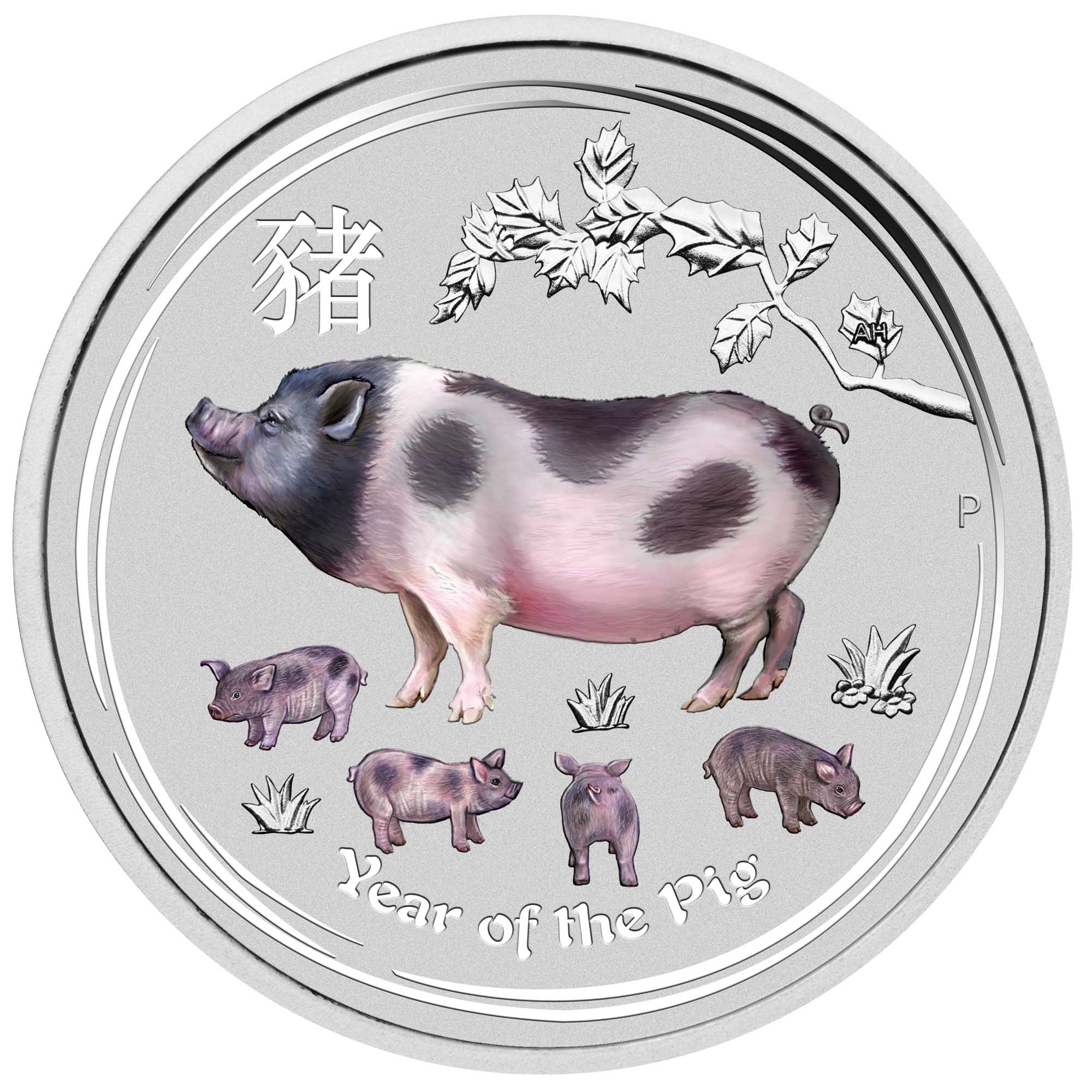 02 2019 YearOfThePig Silver Coloured Bullion StraightOn HighRes