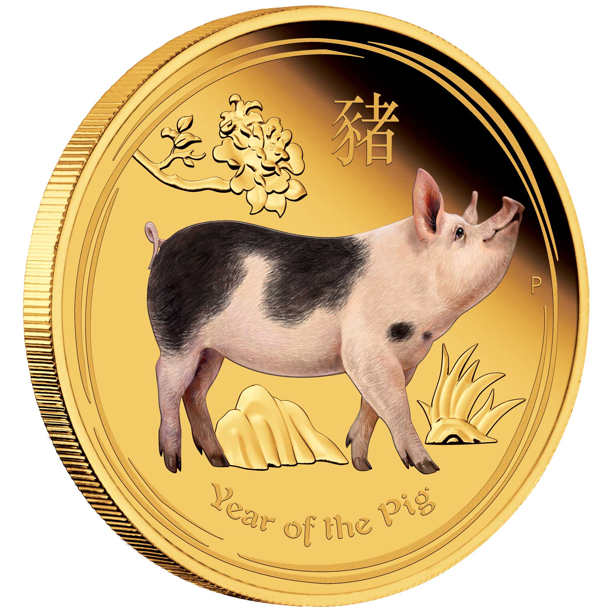 01 australian lunar gold coin series ii year of the pig 2019 1oz gold proof coloured OnEdge