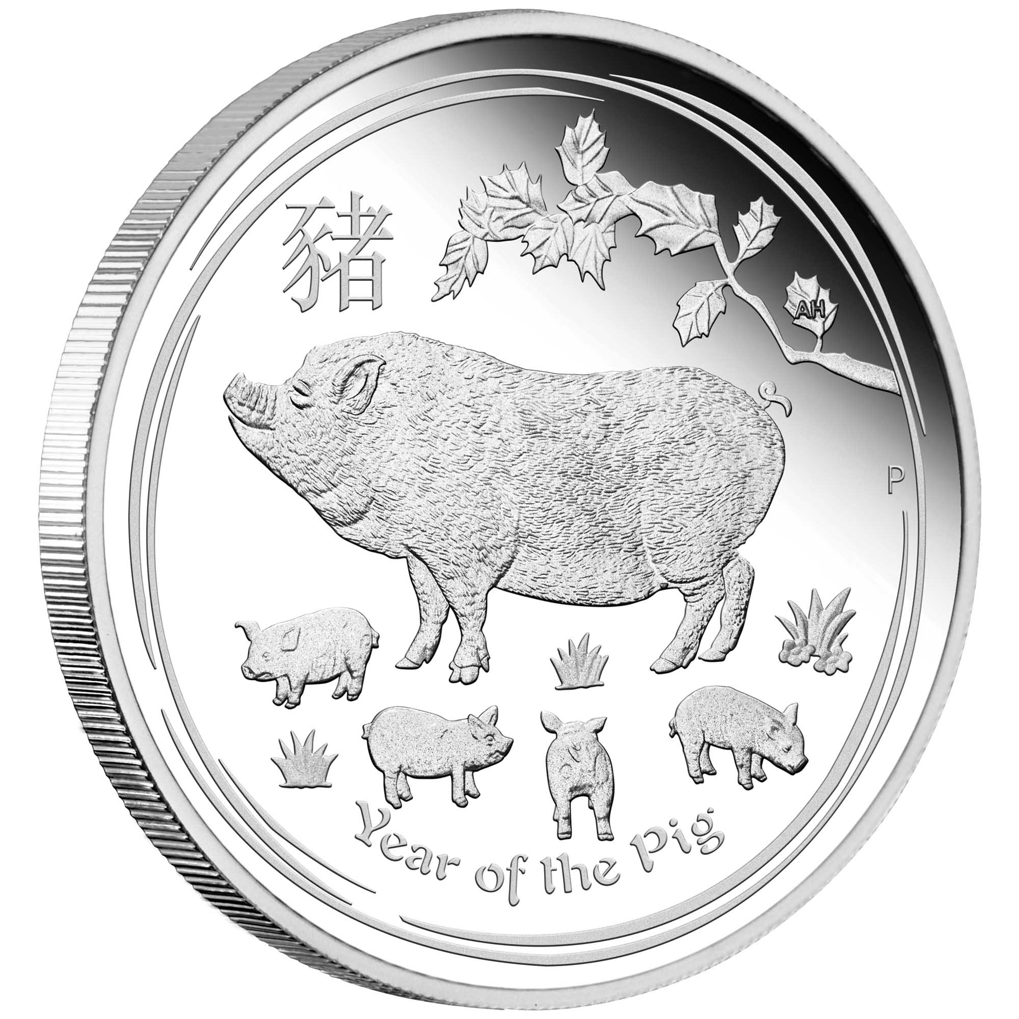 01 australian lunar silver coin series ii year of the pig 2019 1 2oz silver proof OnEdge