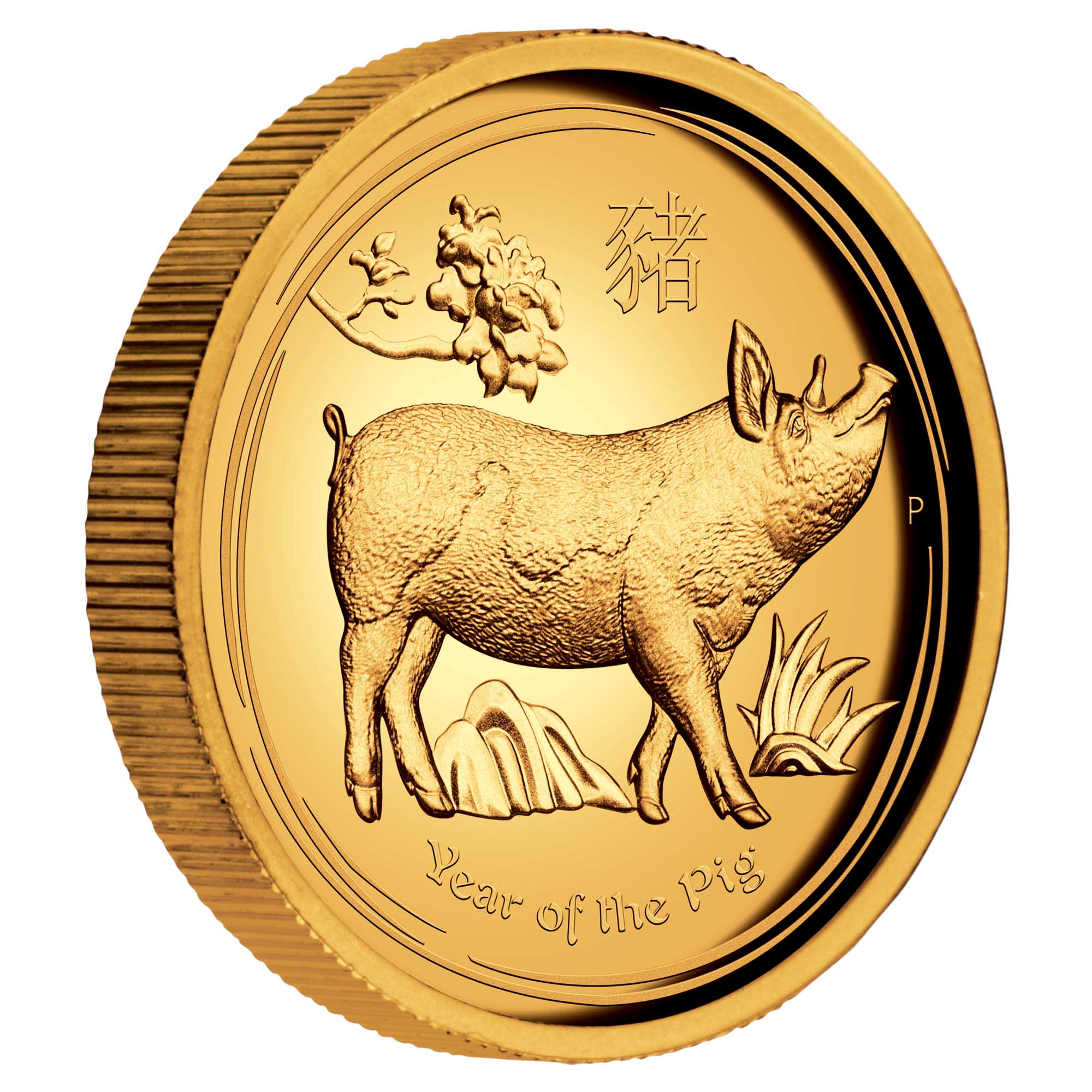01 2019 YearOfThePig Gold 1oz HighRelief Proof OnEdge HighRes
