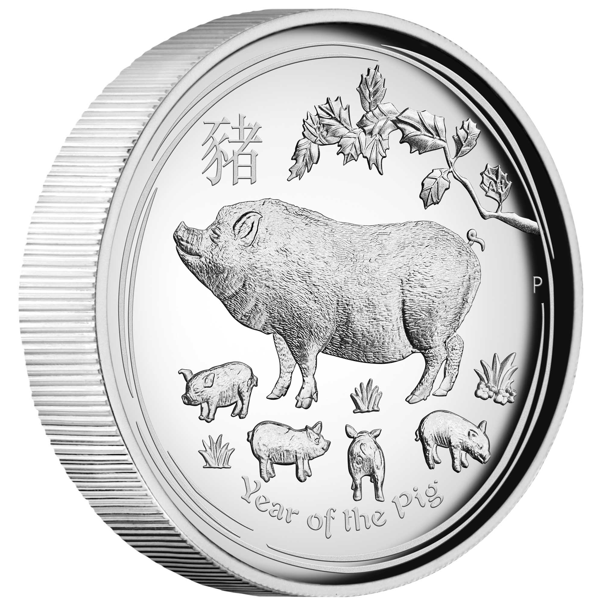 01 australian lunar series ii year of the pig 2019 1oz silver proof high relief OnEdge