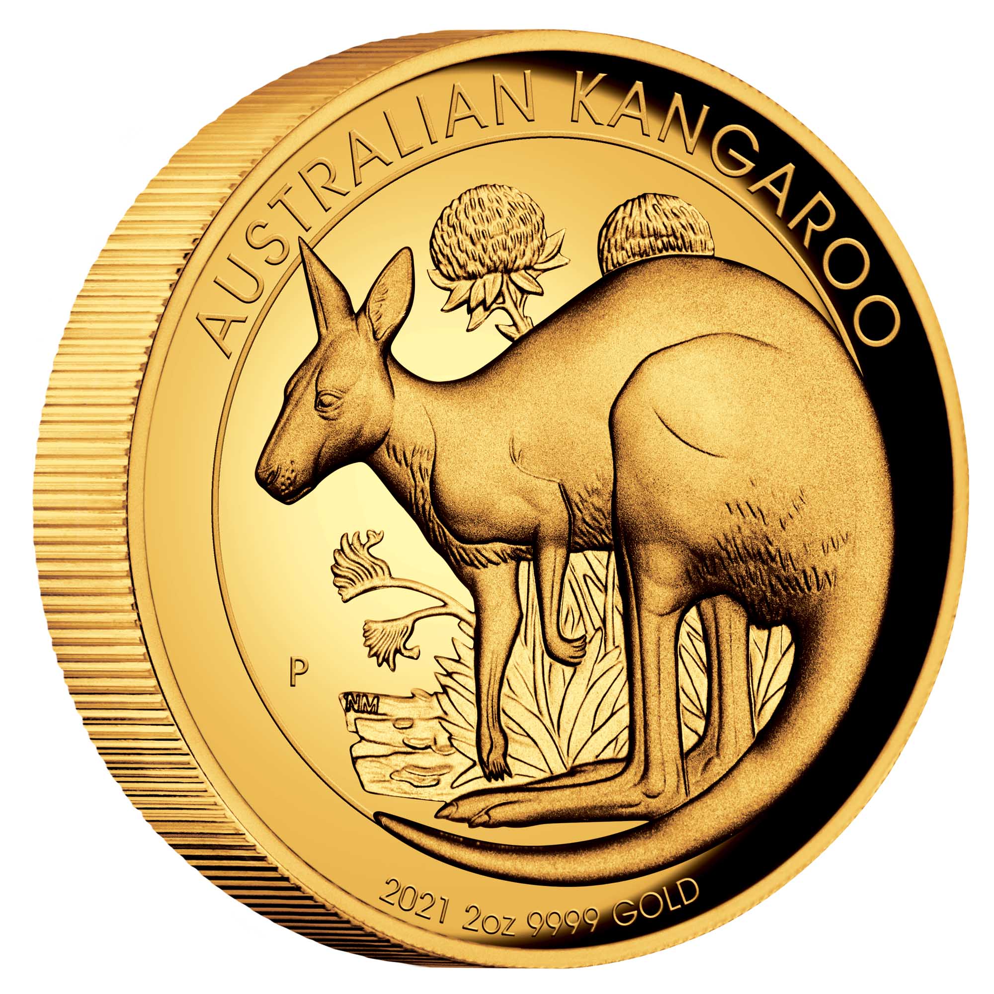 01 2021 AustralianKangaroo 2oz Gold Proof HRCoin OnEdge HighRes