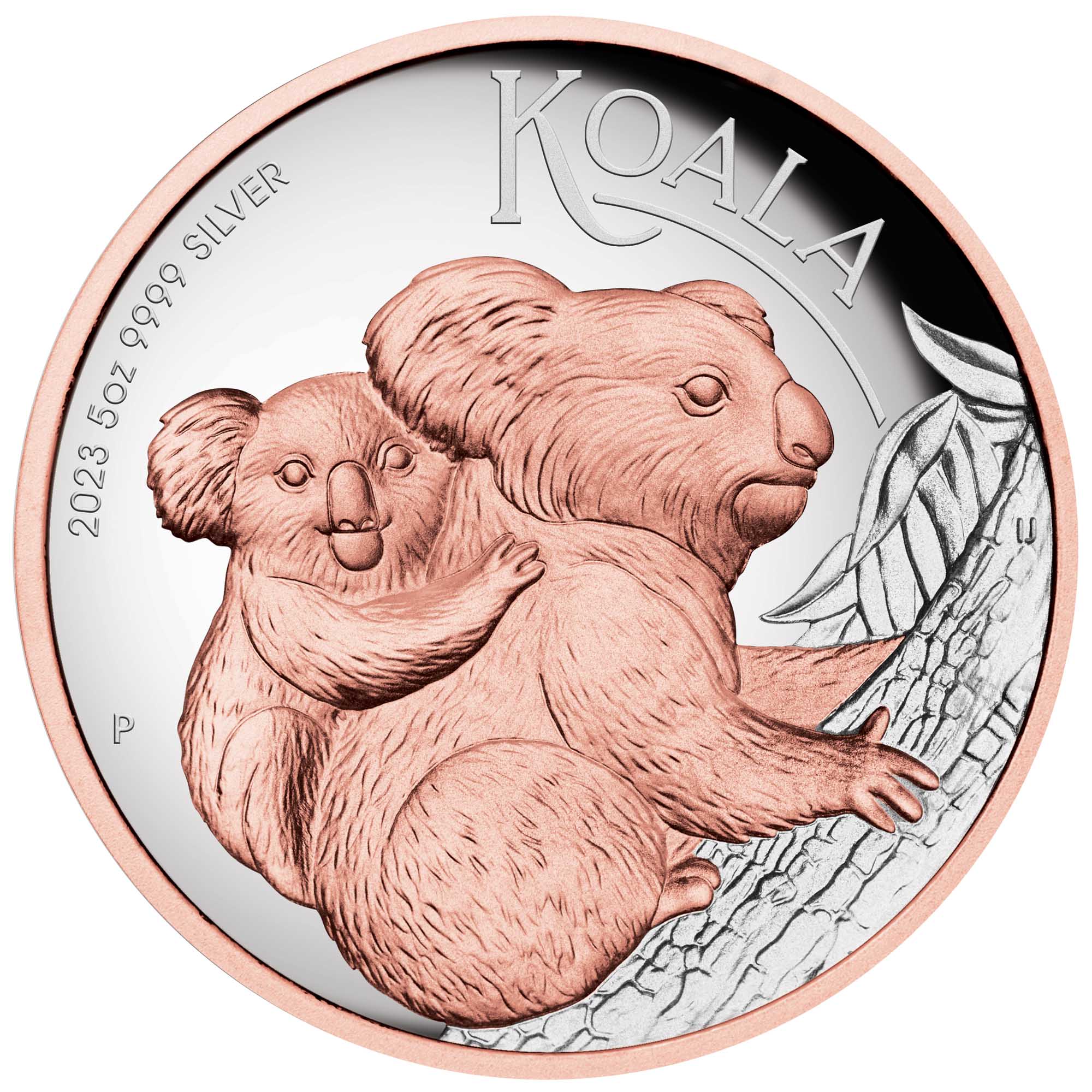 02 2023 Australian Koala 5oz Silver Proof High Relief Gilded Coin StraightOn HighRes