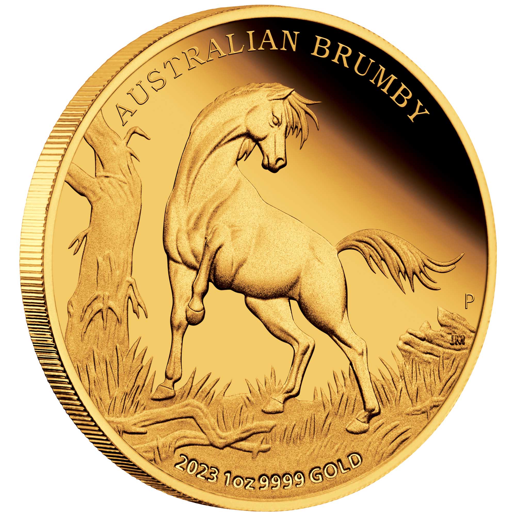 01 2023 AustralianBrumby 1oz Gold Proof Coin OnEdge HighRes