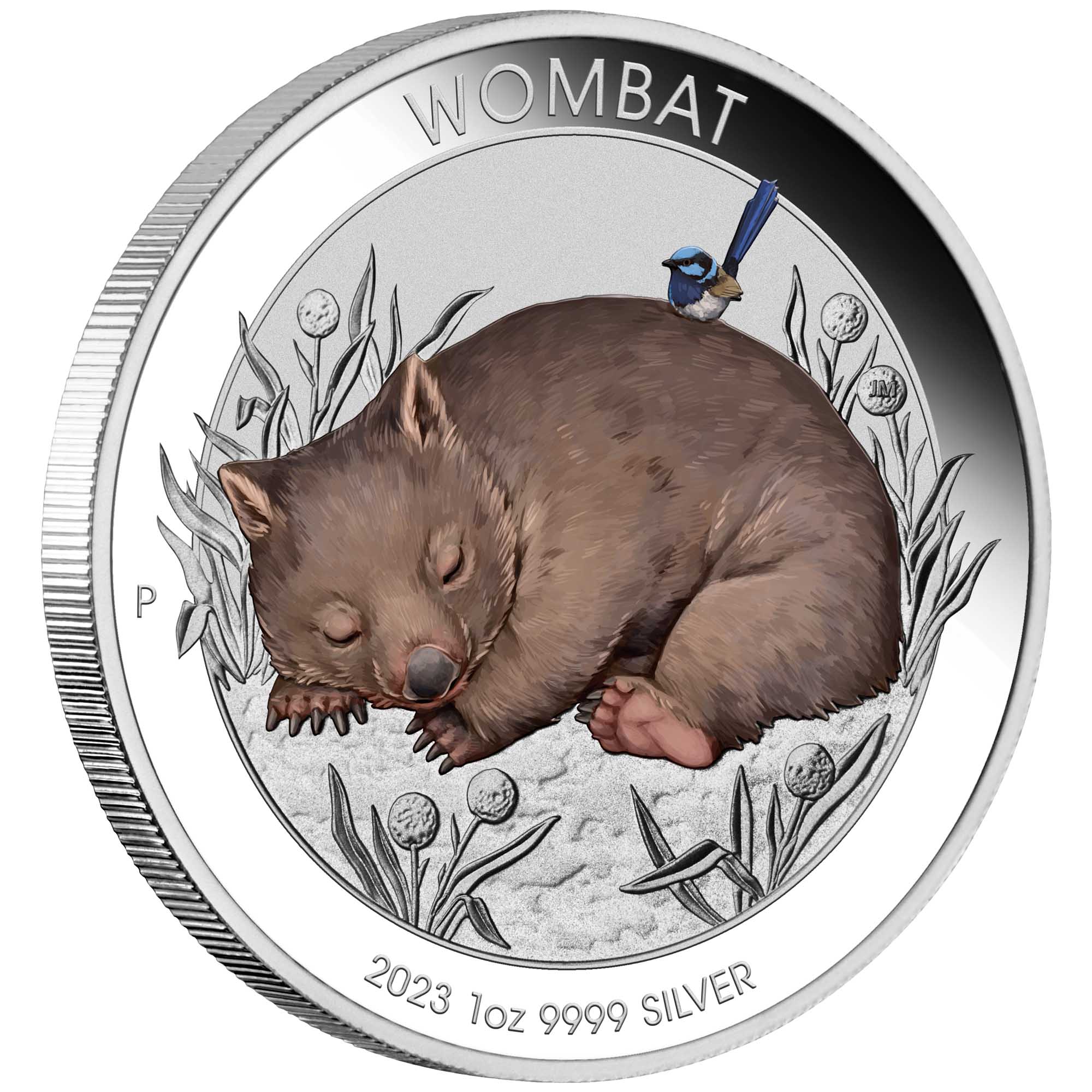 04 Wombat 2023 1oz Silver Coloured Coin OnEdge HighRes