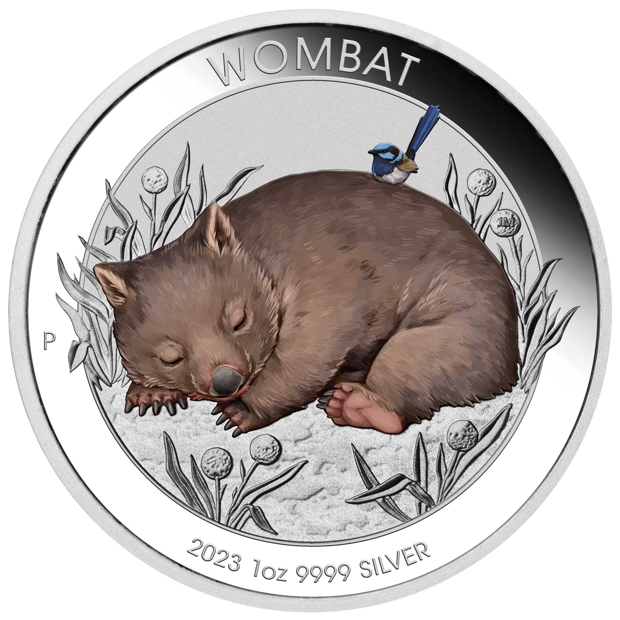 05 Wombat 2023 1oz Silver Coloured Coin StraightOn HighRes