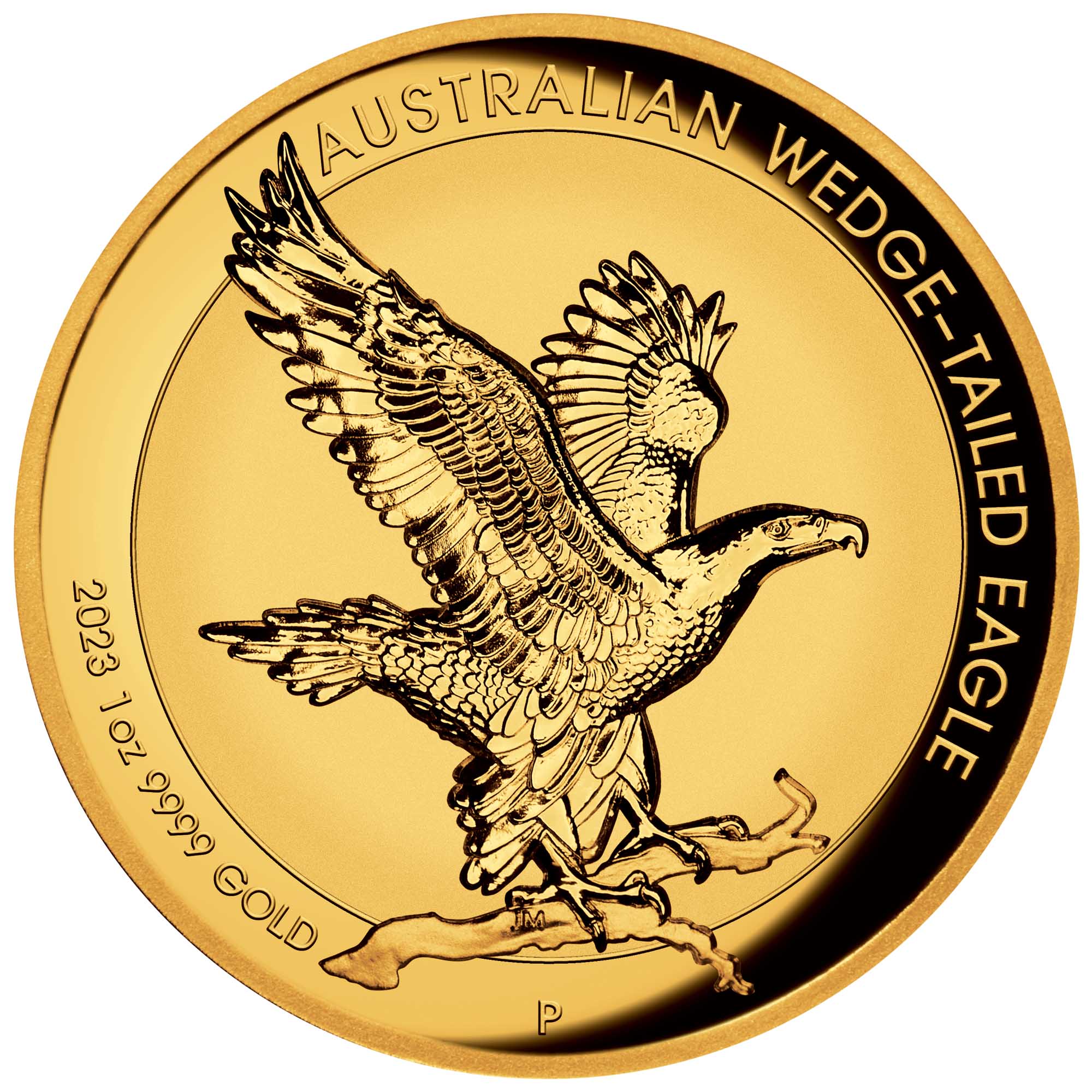 07 2023 AustralianWedge TailedEagle 1oz Gold Proof  Incused Coin StraightOn HighRes