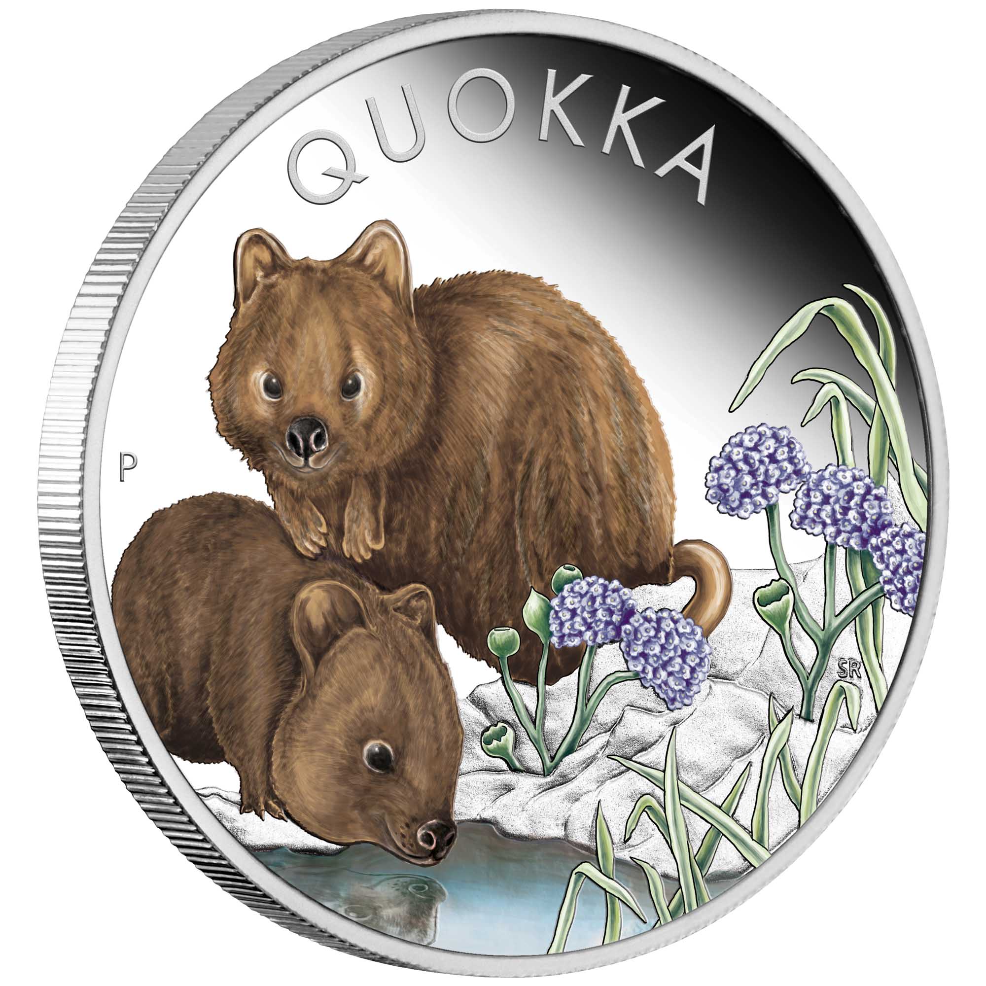 01 Quokka 2023 1oz Silver Proof Coloured Coin OnEdge HighRes