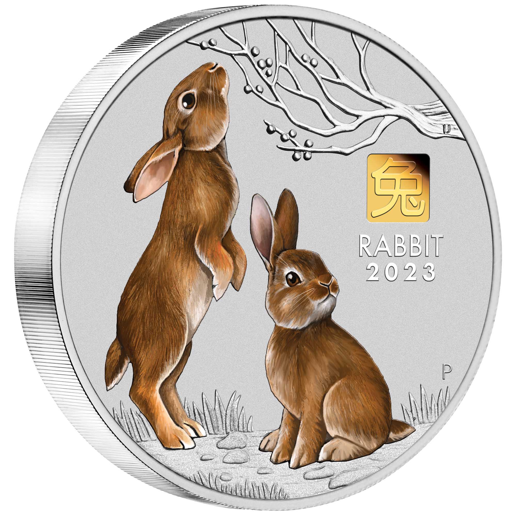 01 2023 Year of the Rabbit 1 Kilo Silver Coin With Gold Privy  OnEdge HighRes