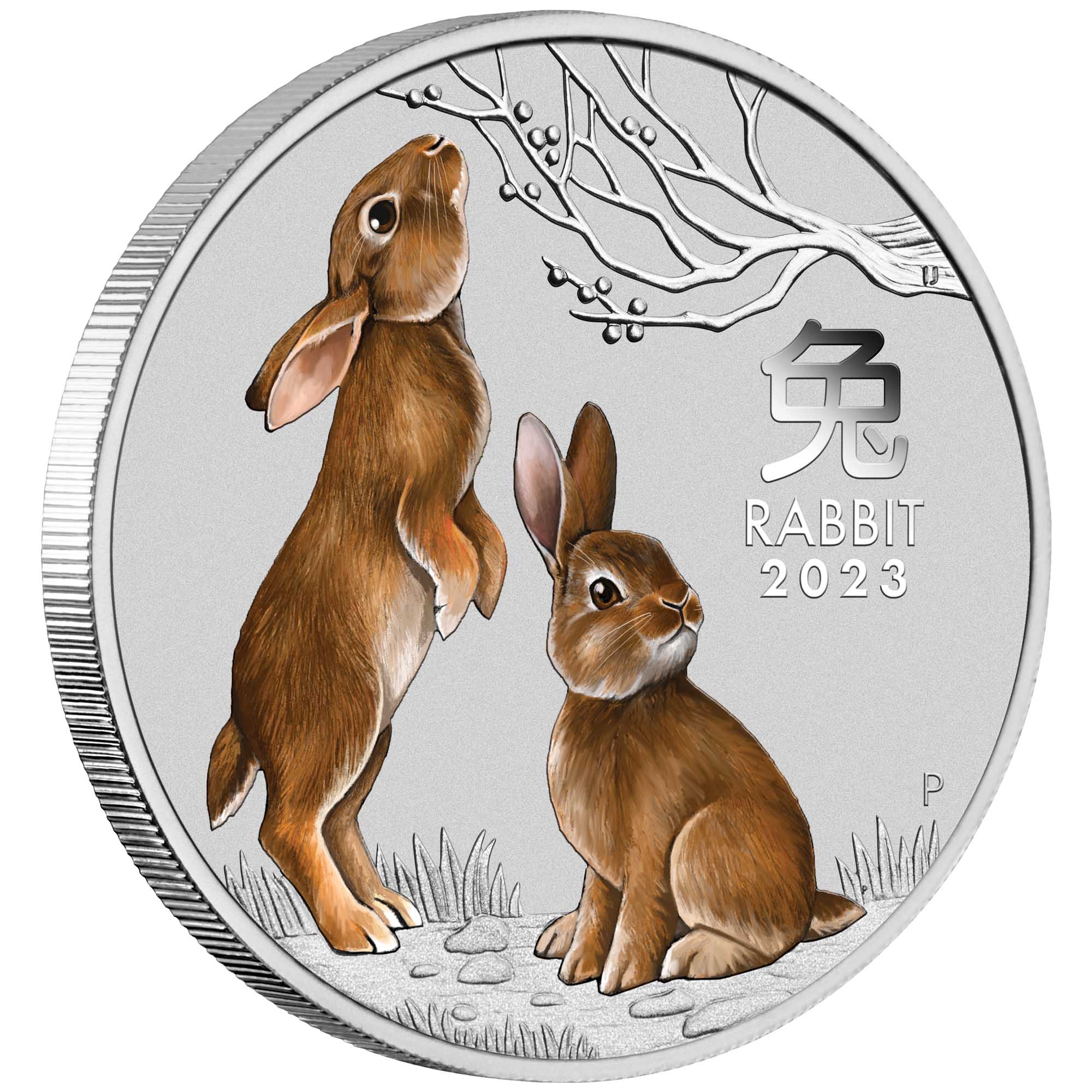 01 2023 Year of the Rabbit 1 4oz Silver Bullion Coloured Coin OnEdge HighRes