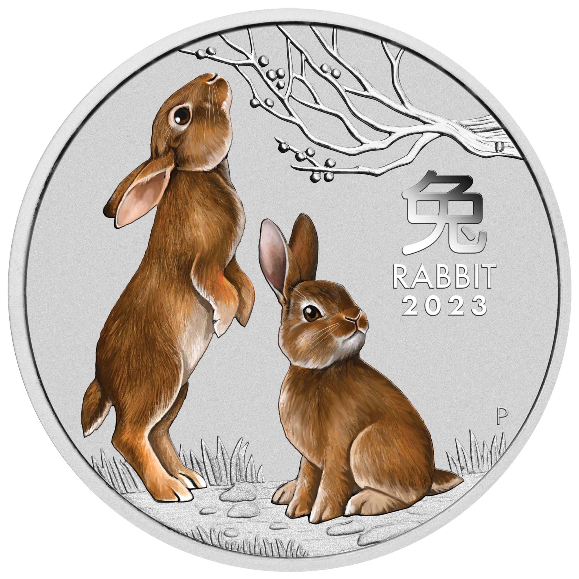 03 2023 Year of the Rabbit 1 4oz Silver Bullion Coloured Coin Straight on HighRes