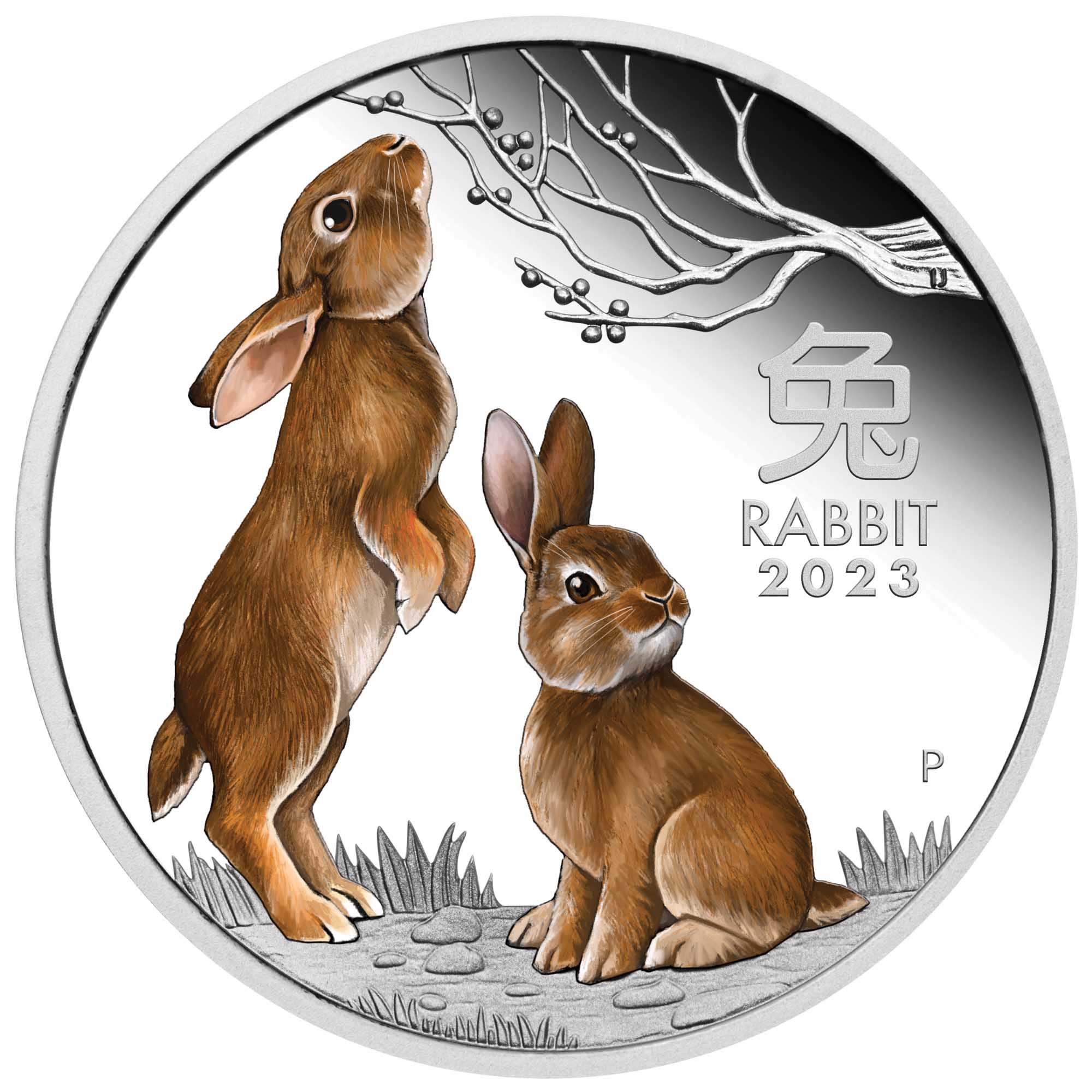 01 2023 Year of the Rabbit 1oz Silver Proof Coloured Coin StraightOn HighRes
