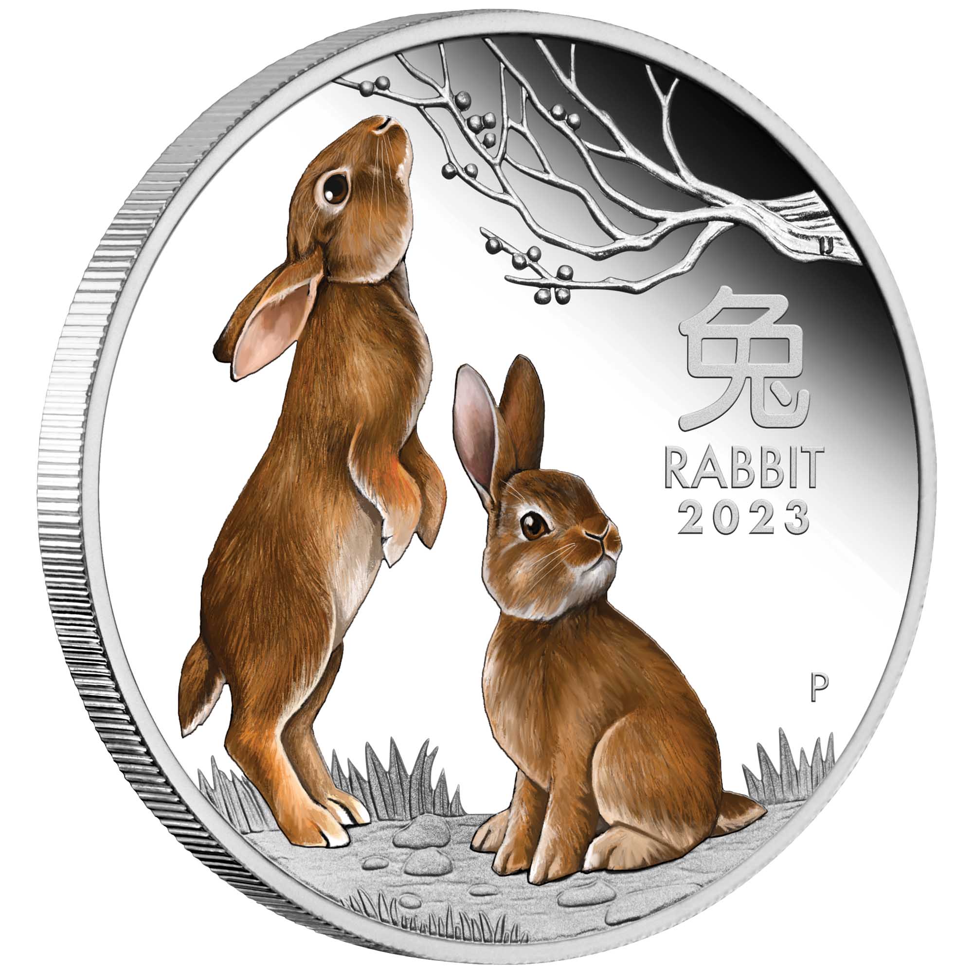 02 2023 Year of the Rabbit 1oz Silver Proof Coloured Coin OnEdge HighRes