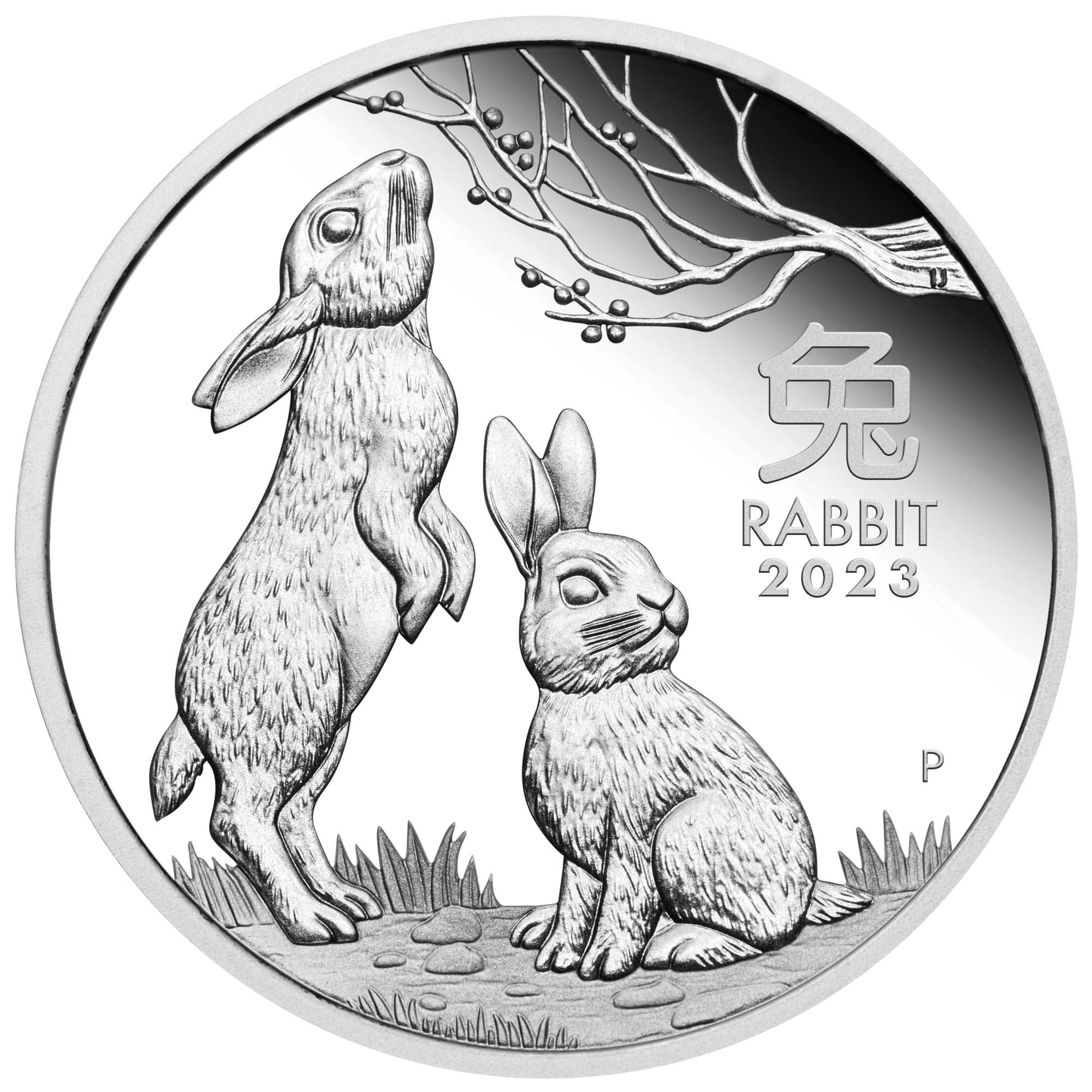 04 2023 Year of the Rabbit 1oz  Silver Proof Coin StraightOn HighRes