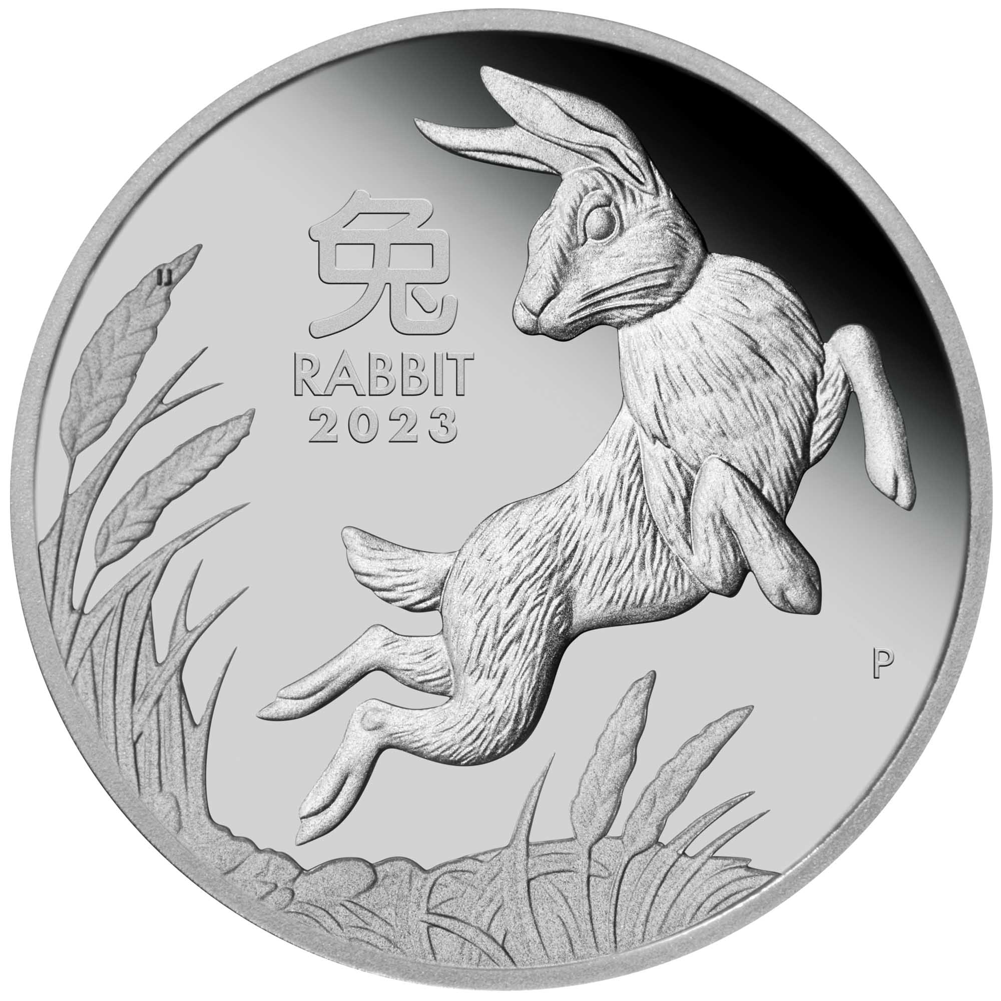 02 2023 Year of the Rabbit 1oz Platinum Proof Coin StraightOn HighRes