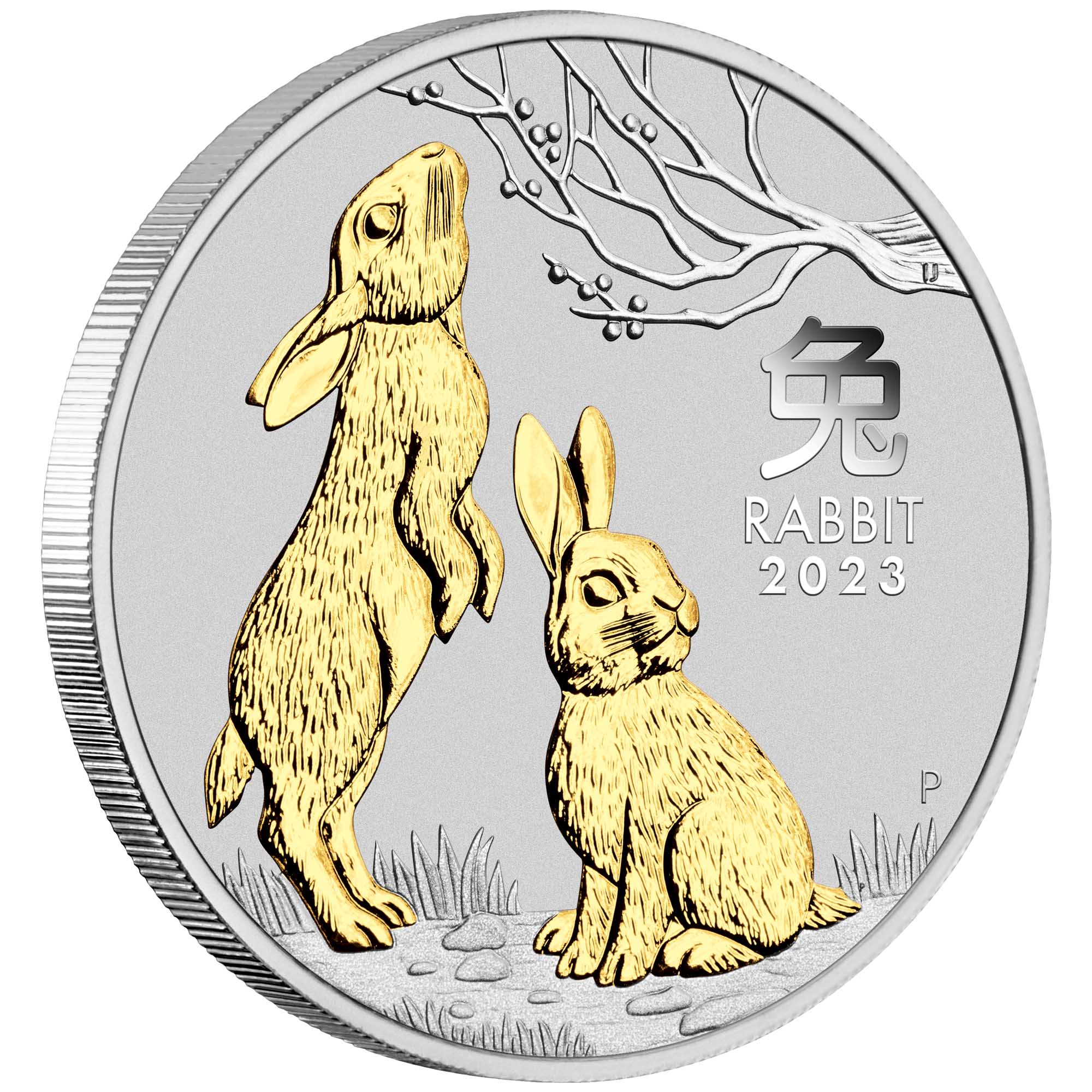 01 2023 Year of the Rabbit 1oz Silver Gilded Coin OnEdge HighRes