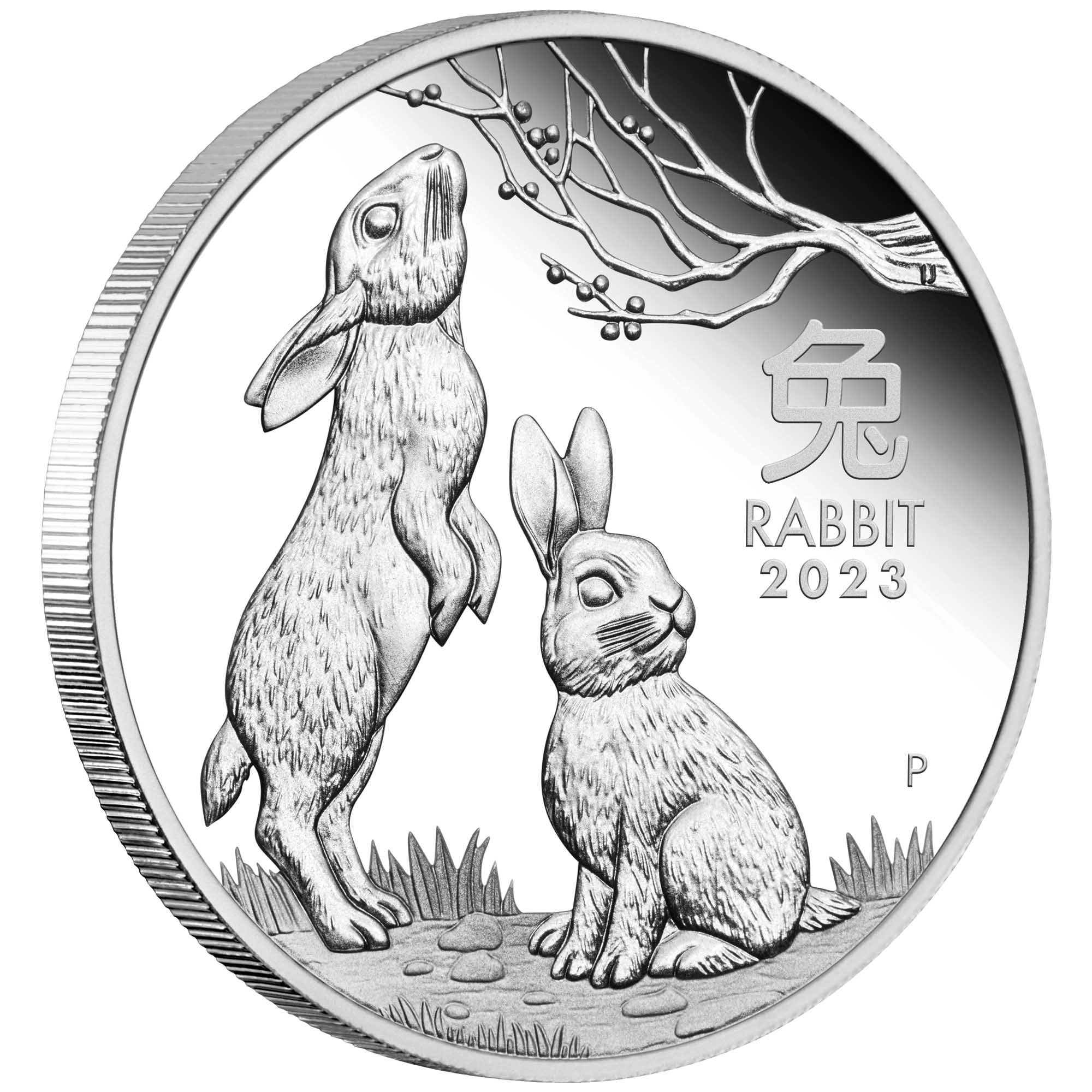 03 2023 Year of the Rabbit 1oz  Silver Proof Coin OnEdge HighRes