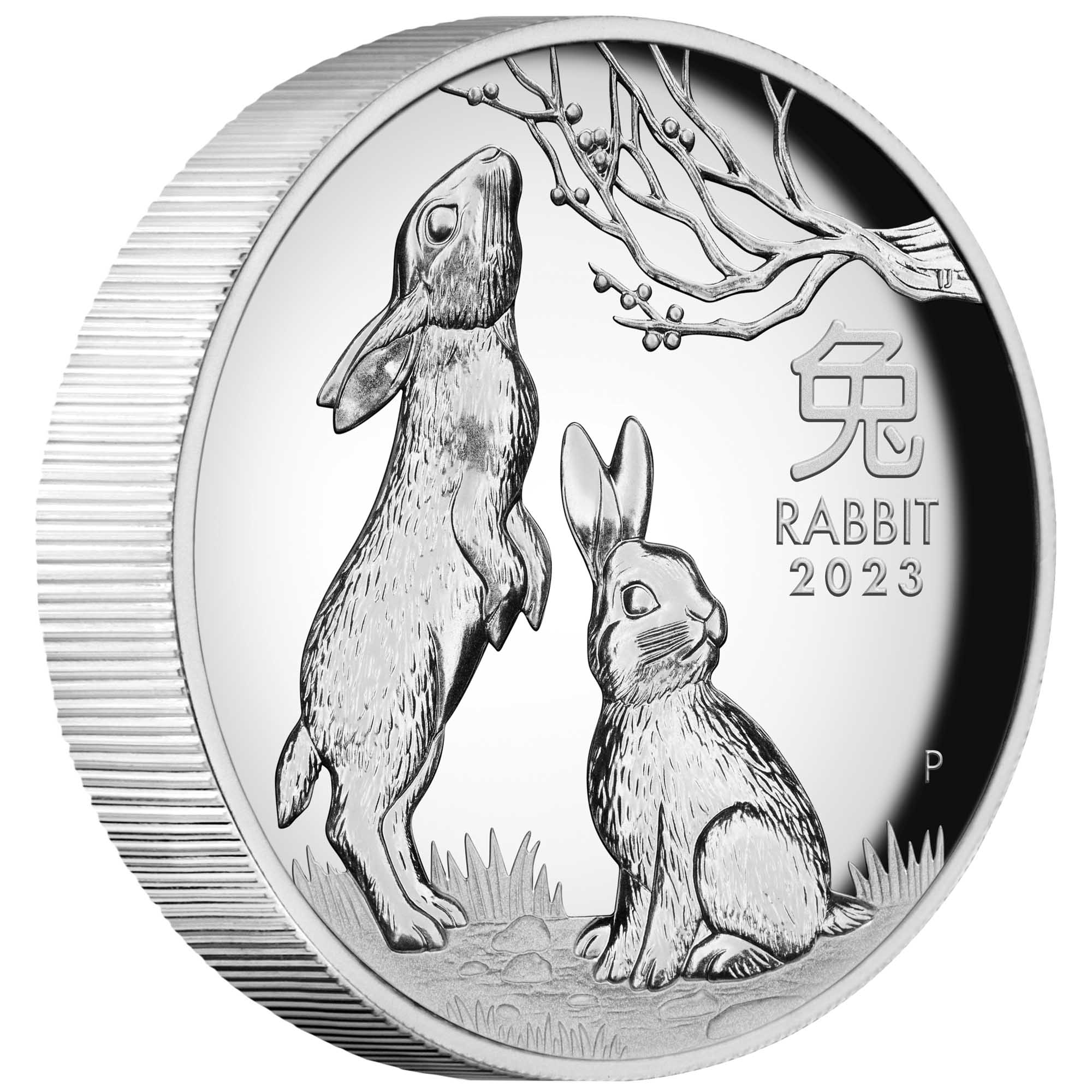 01 2023 Year of the Rabbit 1oz Silver Proof High Relief Coin OnEdge HighRes