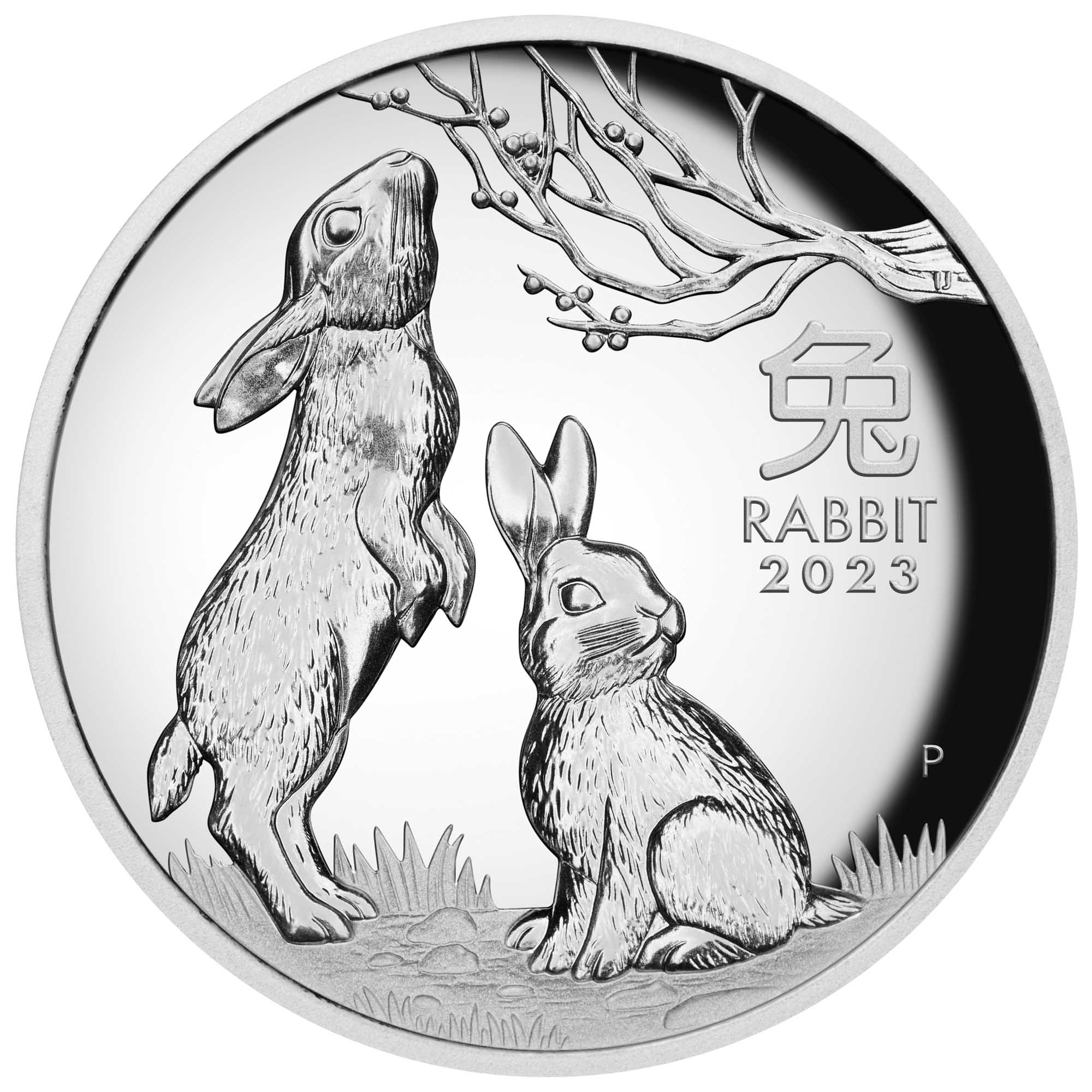 02 2023 Year of the Rabbit 5oz Silver Proof High Relief Coin StraightOn HighRes