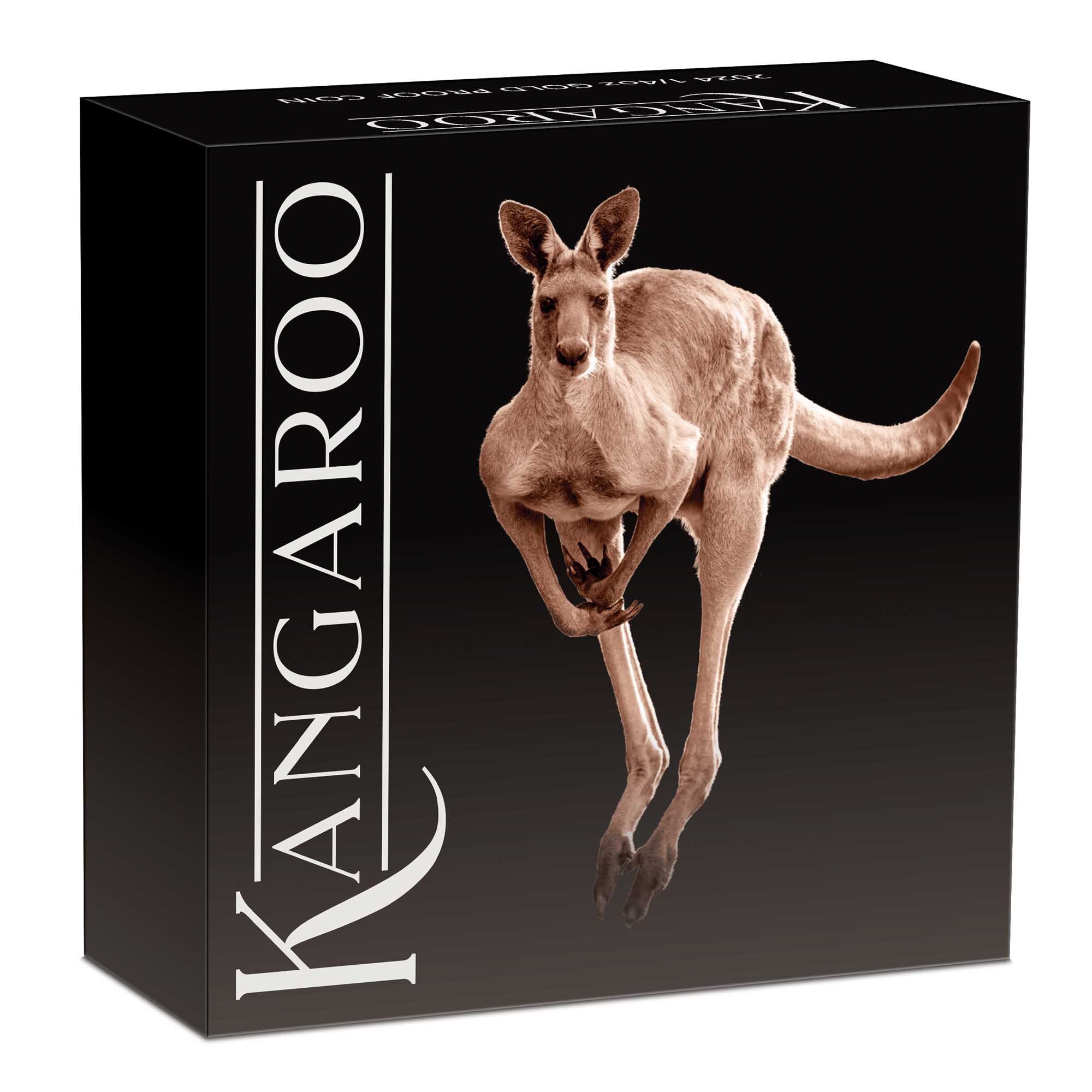 10 2024 Australian Kangaroo 1 4oz Gold Proof Coin InShipper HighRes