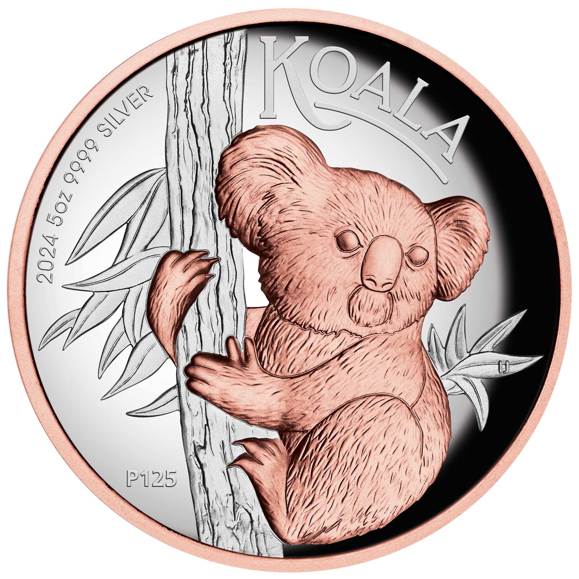02 2024 Australian Koala 5oz Silver Proof High Relief Gilded Coin StraightOn HighRes