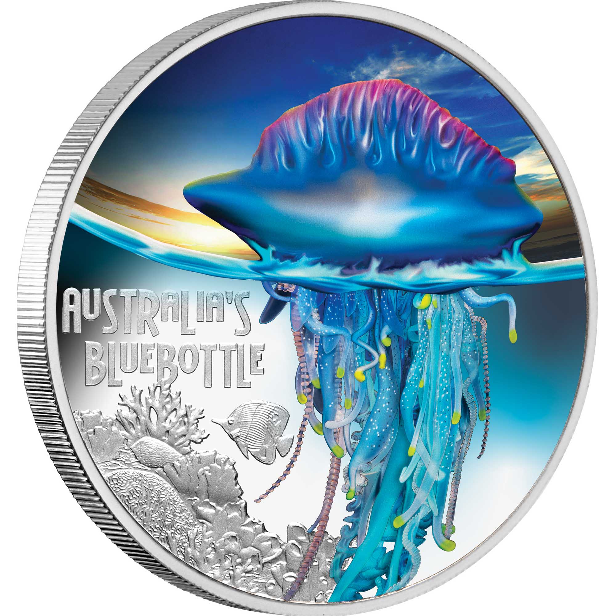 01 2024 $1 BLUEBOTTLE 1oz SILPF Left