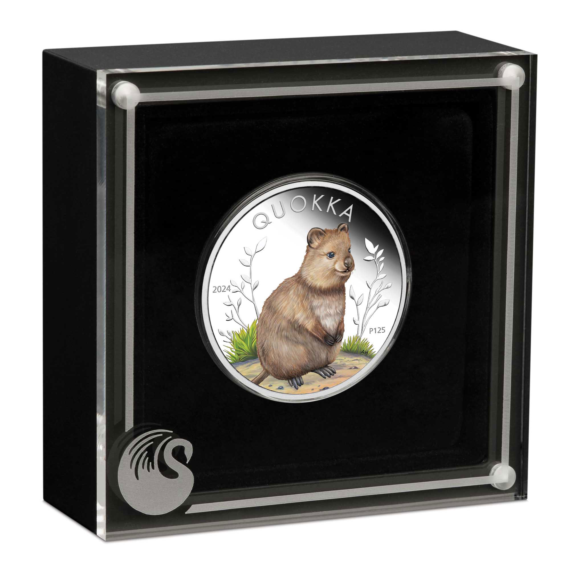 04 Quokka 2024 1oz Silver Proof Coloured Coin in case HighRes