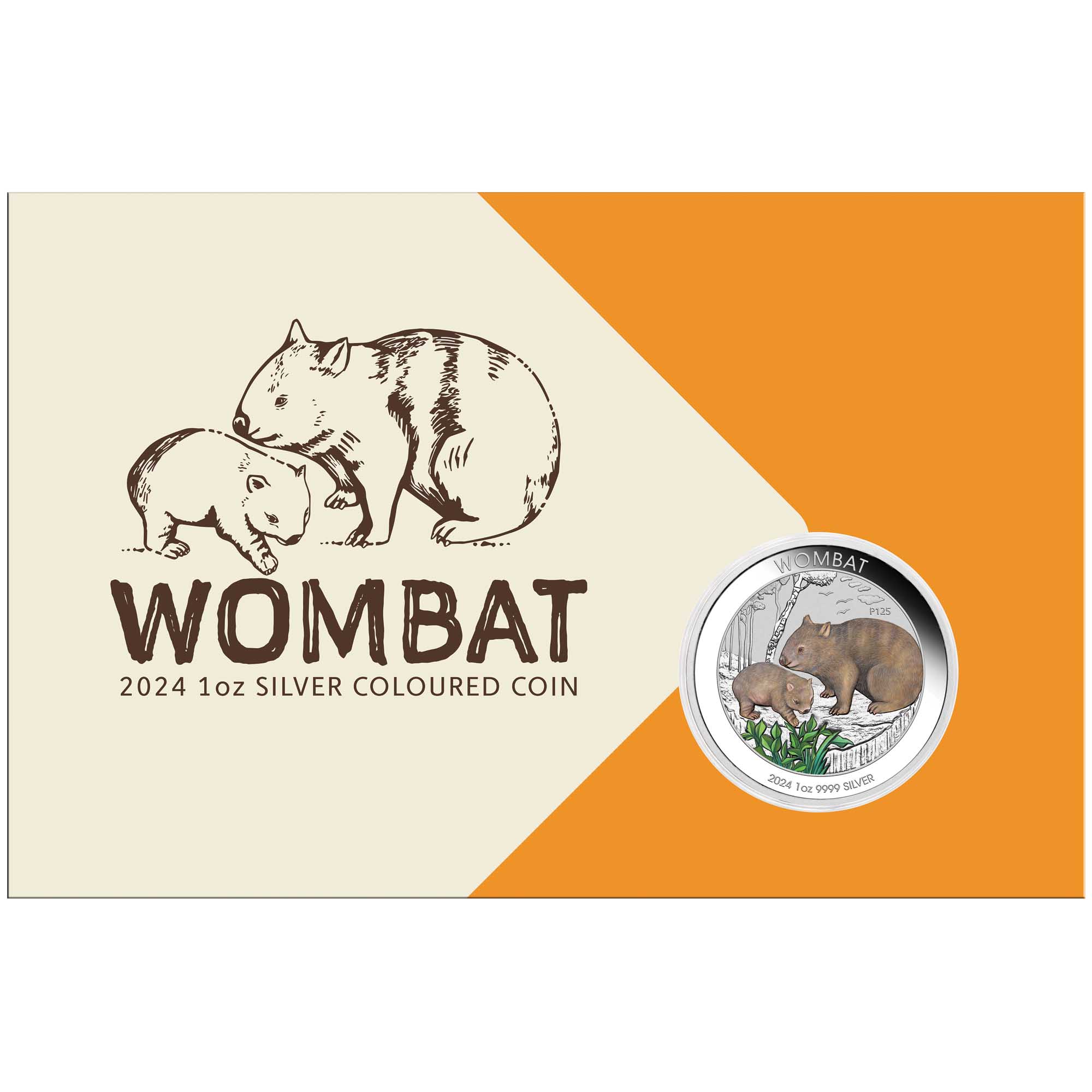 03 2024 Australian Wombat 1oz Silver Coloured Coin InCard HighRes