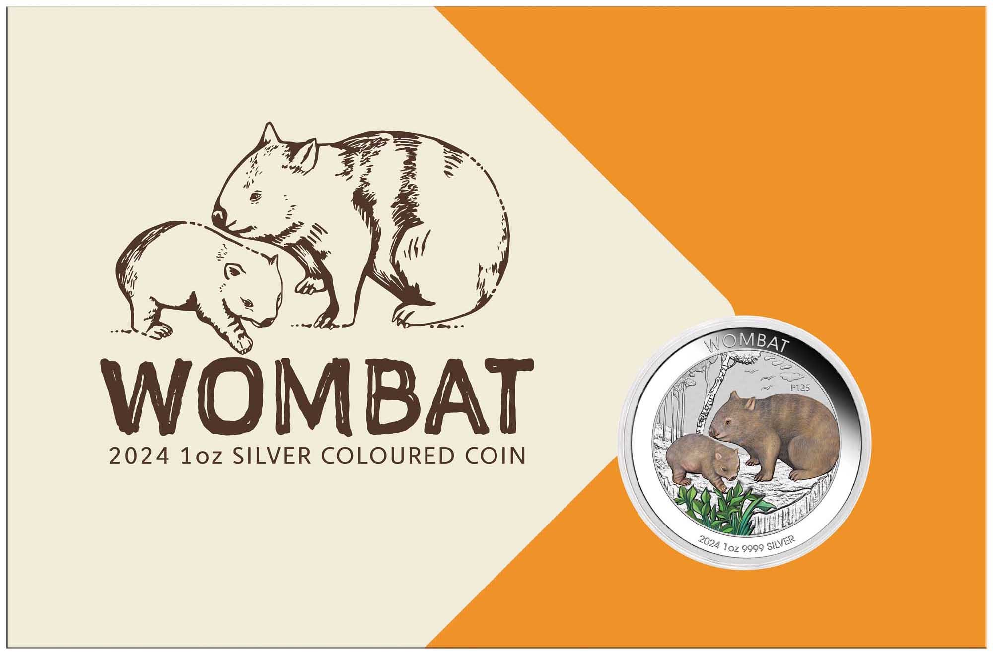 03 2024 Australian Wombat 1oz Silver Coloured Coin InCard HighResCROPPED