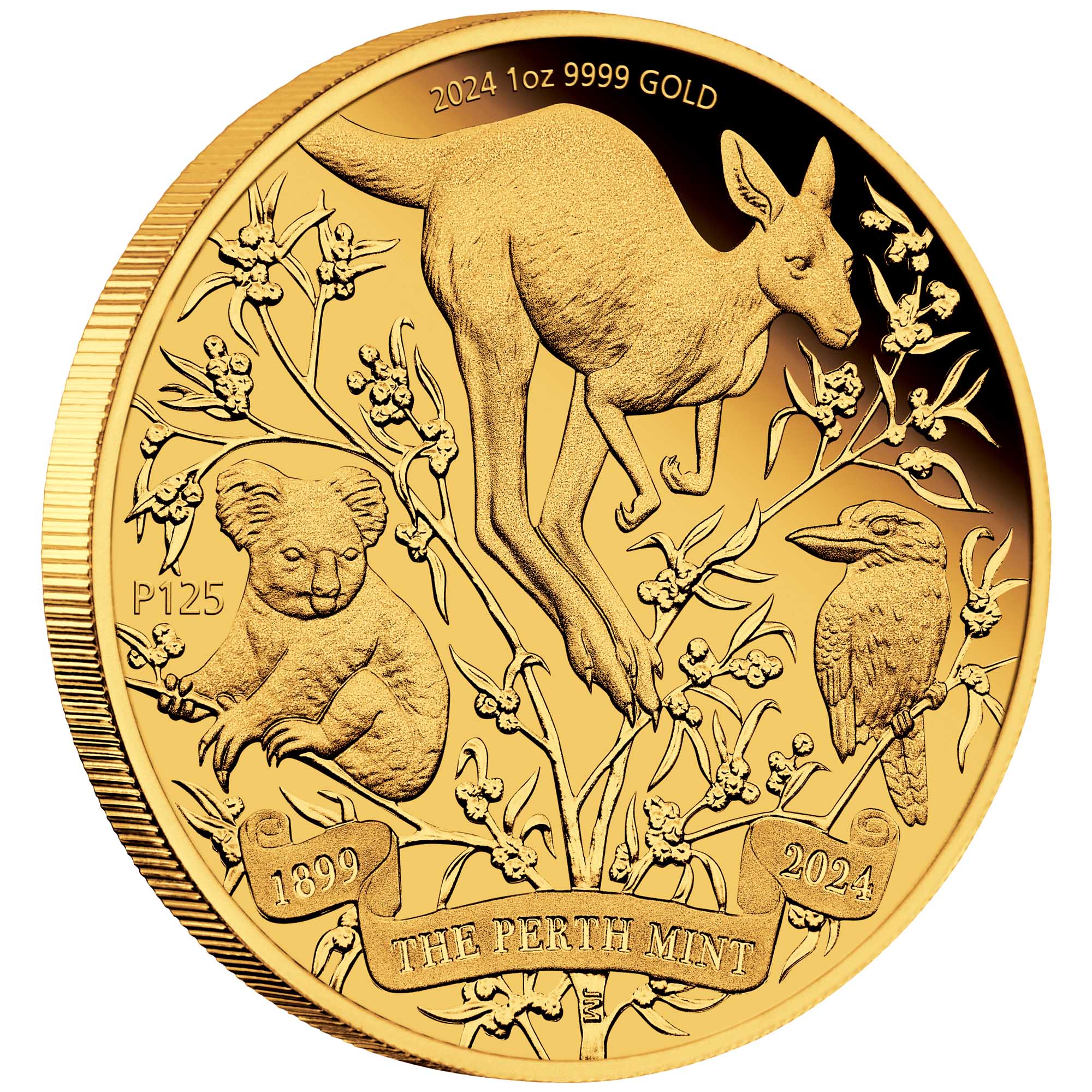 06 2024 The Perth Mint’s 125th Anniversary 1oz Gold Proof Coin On Edge HighRes