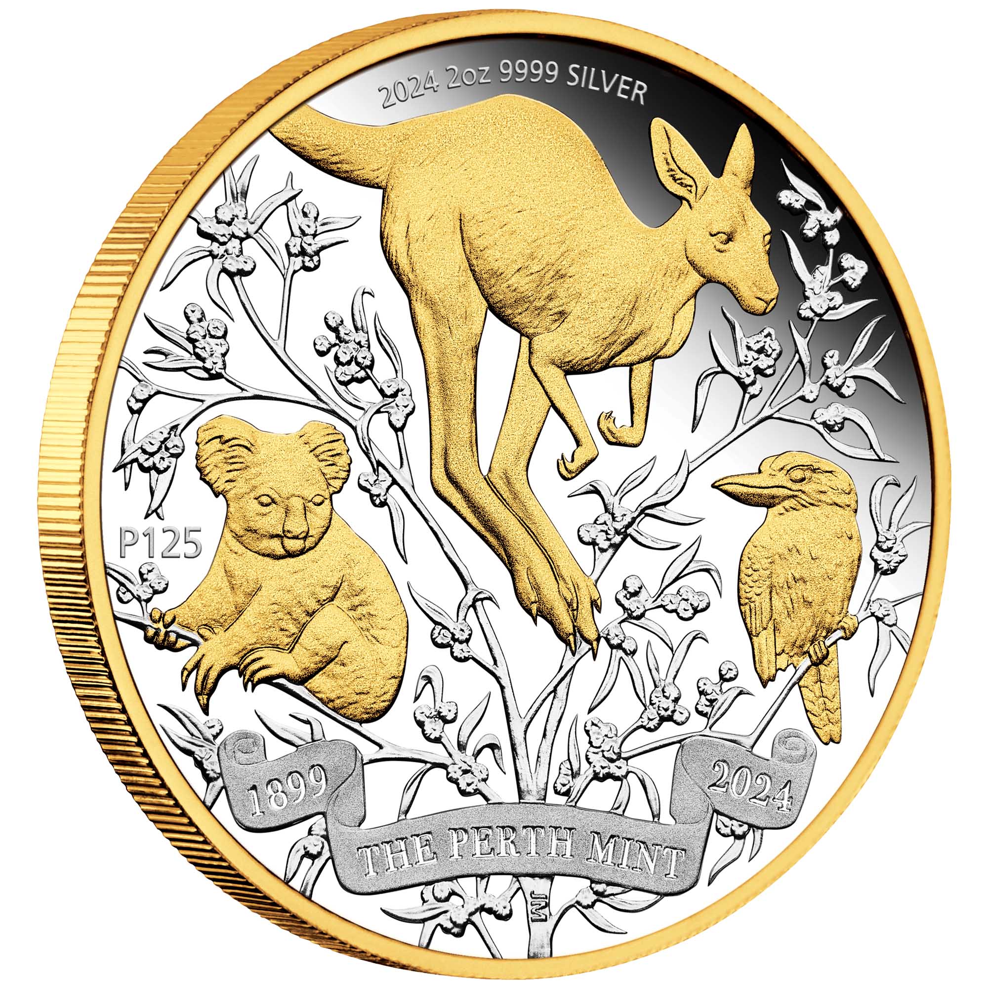 01 2024 The Perth Mint’s 125th Anniversary 2oz Silver Gilded Proof Coin OnEdge HighRes