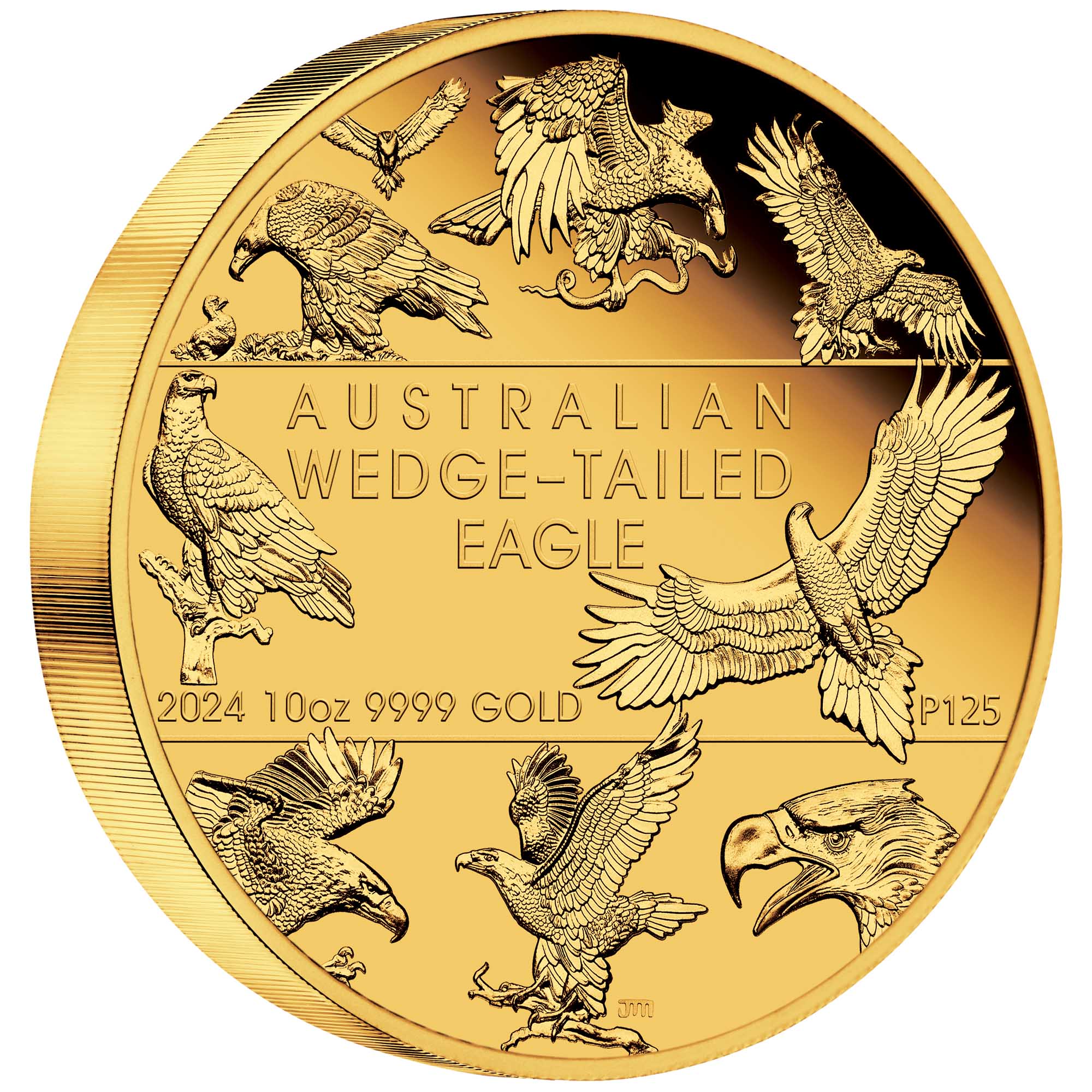 01 2024 Wedge tailed Eagle Mo