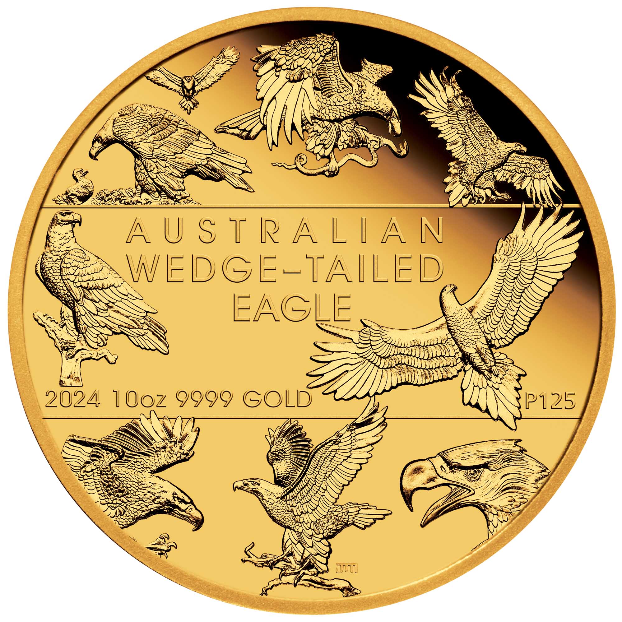 02 2024 Wedge tailed Eagle Mo