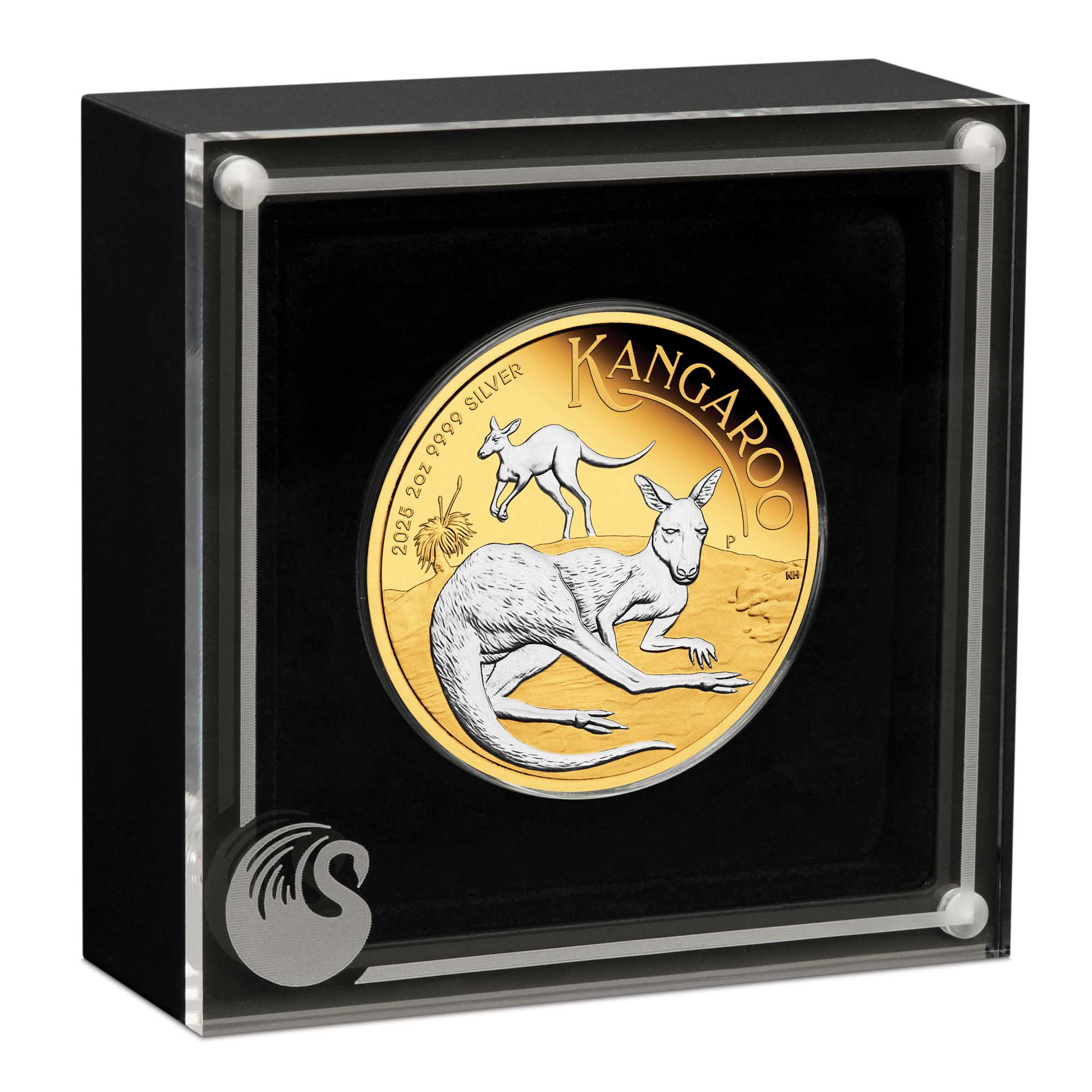 04 2025 Australian Kangaroo 2oz Silver Reverse Gilded Coin In Case HighRes