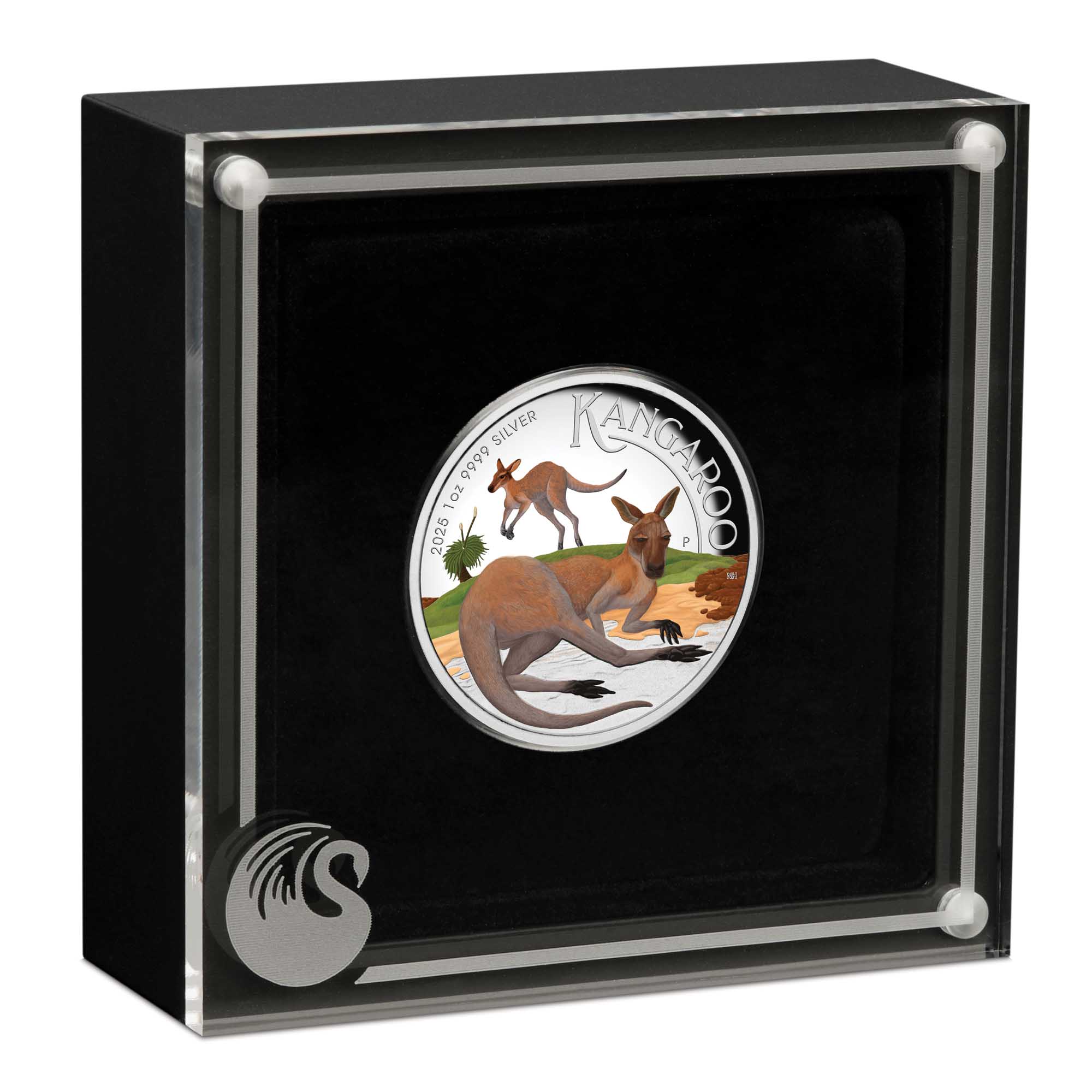 04 Australian Kangaroo 2025 1oz Silver Proof High Relief Coloured Coin in case HighRes