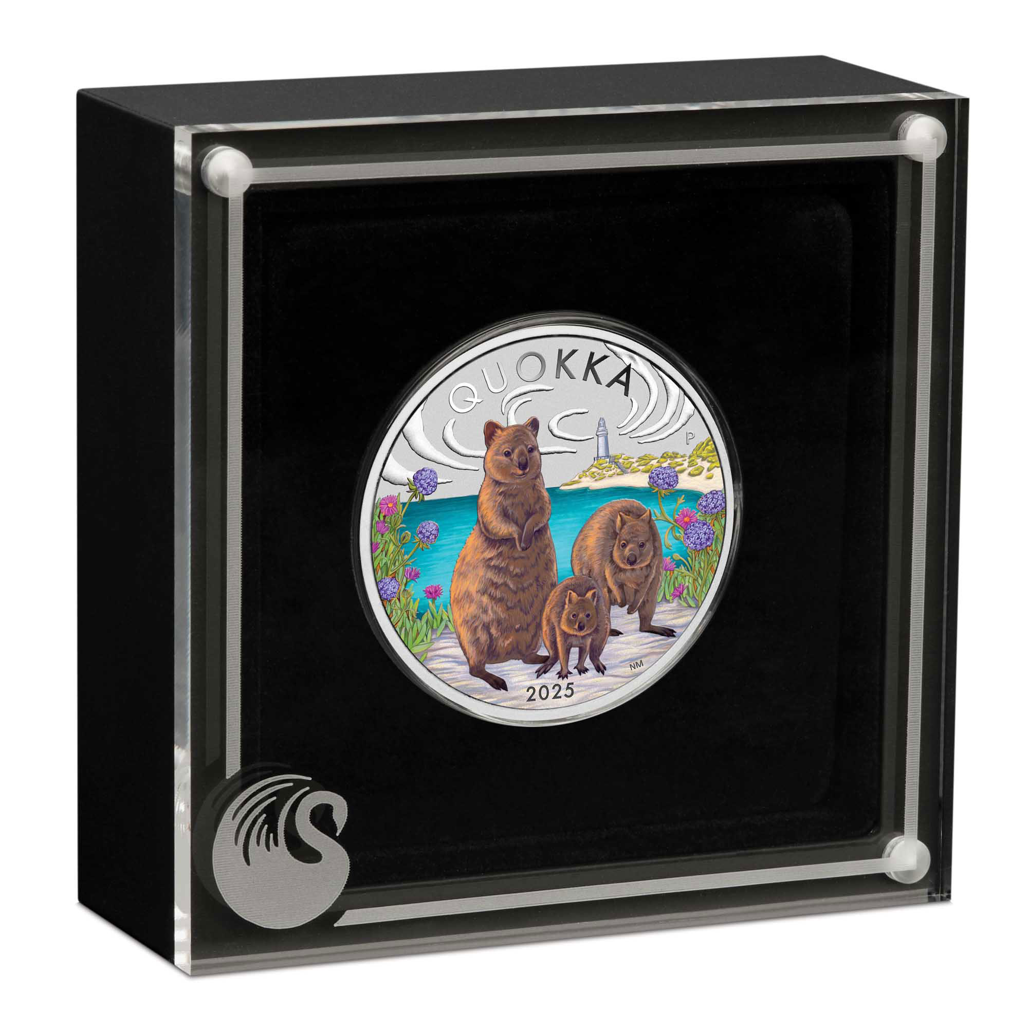 04 2025 Quokka 1oz Silver Bullion Coloured Coin in case HighRes