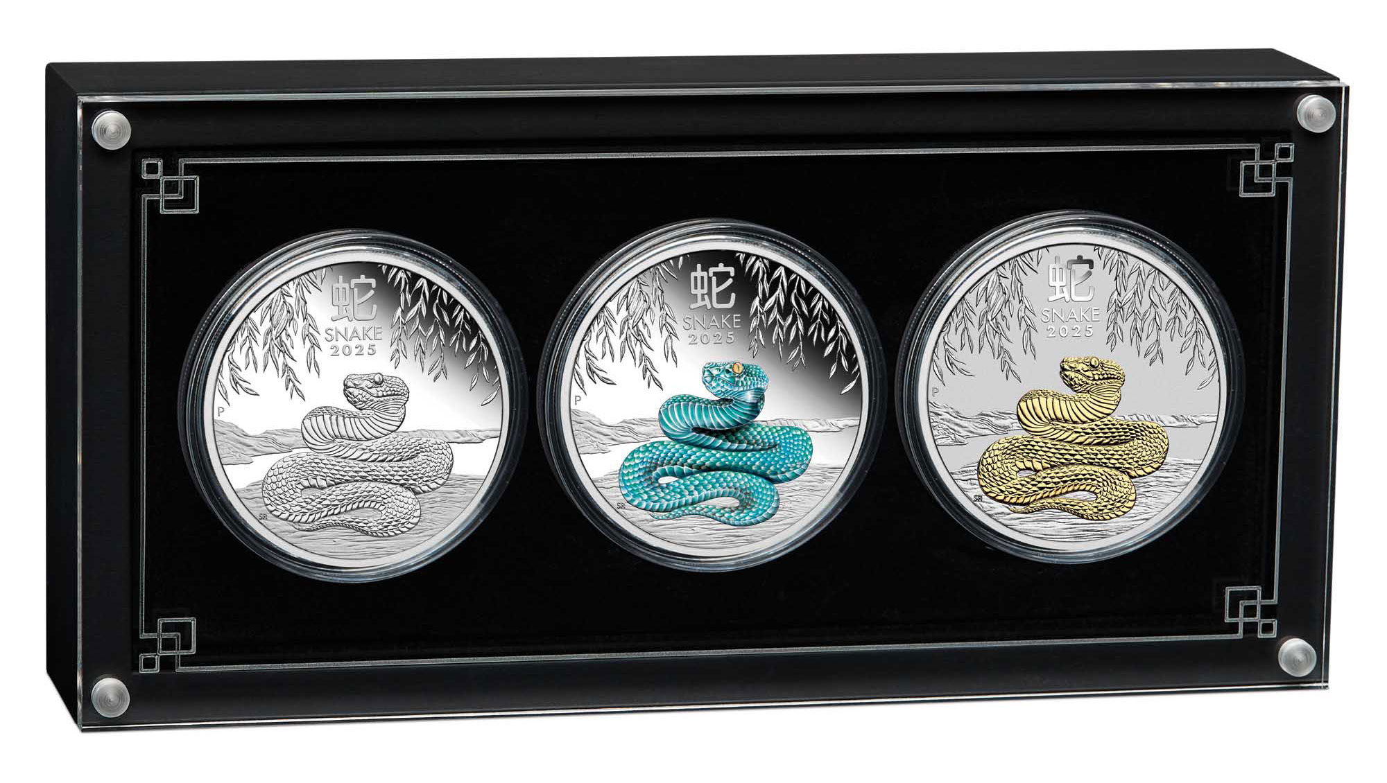 06 2025 Year of the Snake Silver Trio InCase Cropped