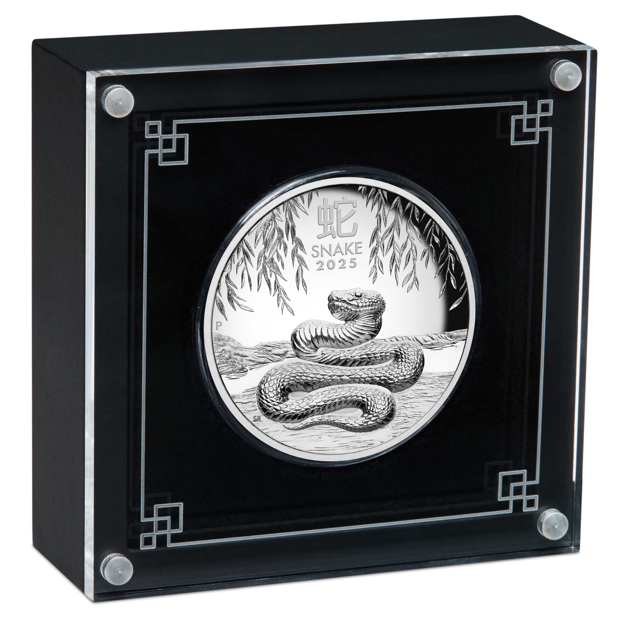 09 2025 Lunar YOT Snake 5oz Silver Proof High Relief Coin in case HighRes