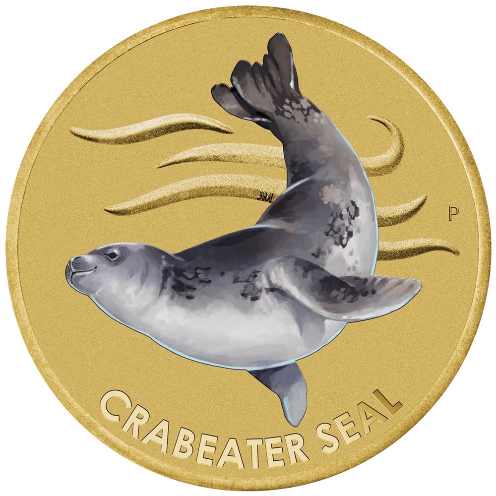 02 2018 CrabeaterSeal AlBr $1 StraightOn HighRes