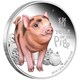 01 baby pig 2019 1 2oz silver proof OnEdge