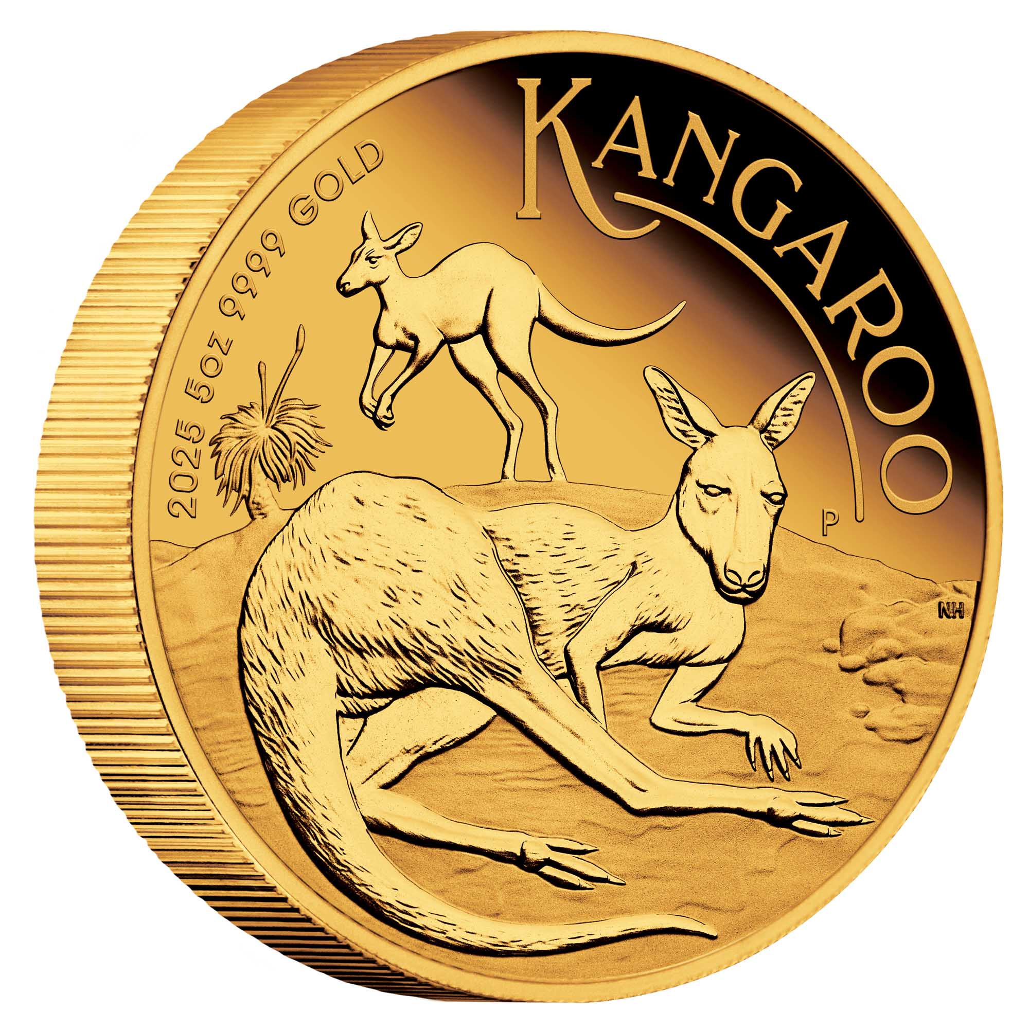 01 2025 Australian Kangaroo 5oz Gold Proof Coin OnEdge HighRes