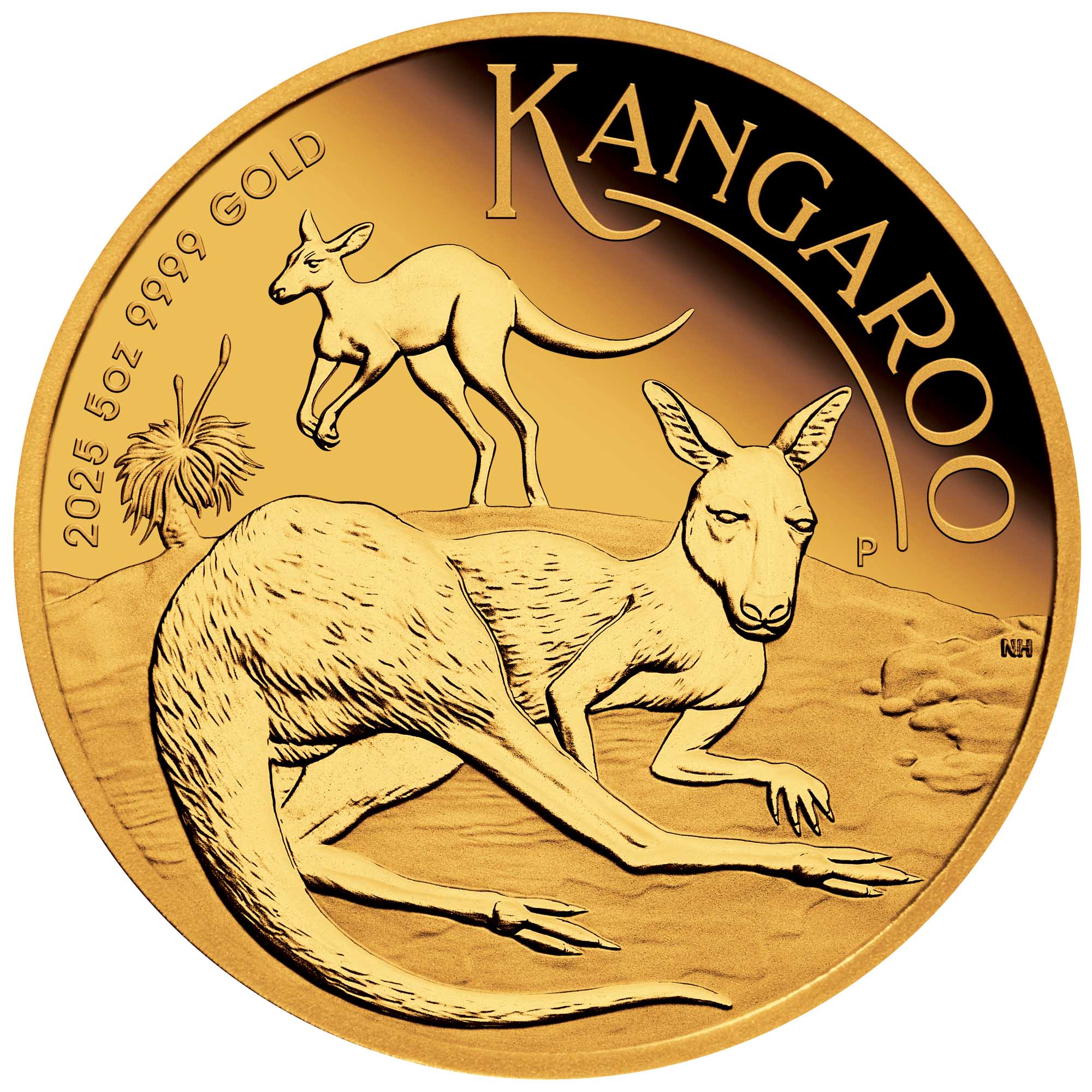 02 2025 Australian Kangaroo 5oz Gold  Proof Coin StraightOn HighRes
