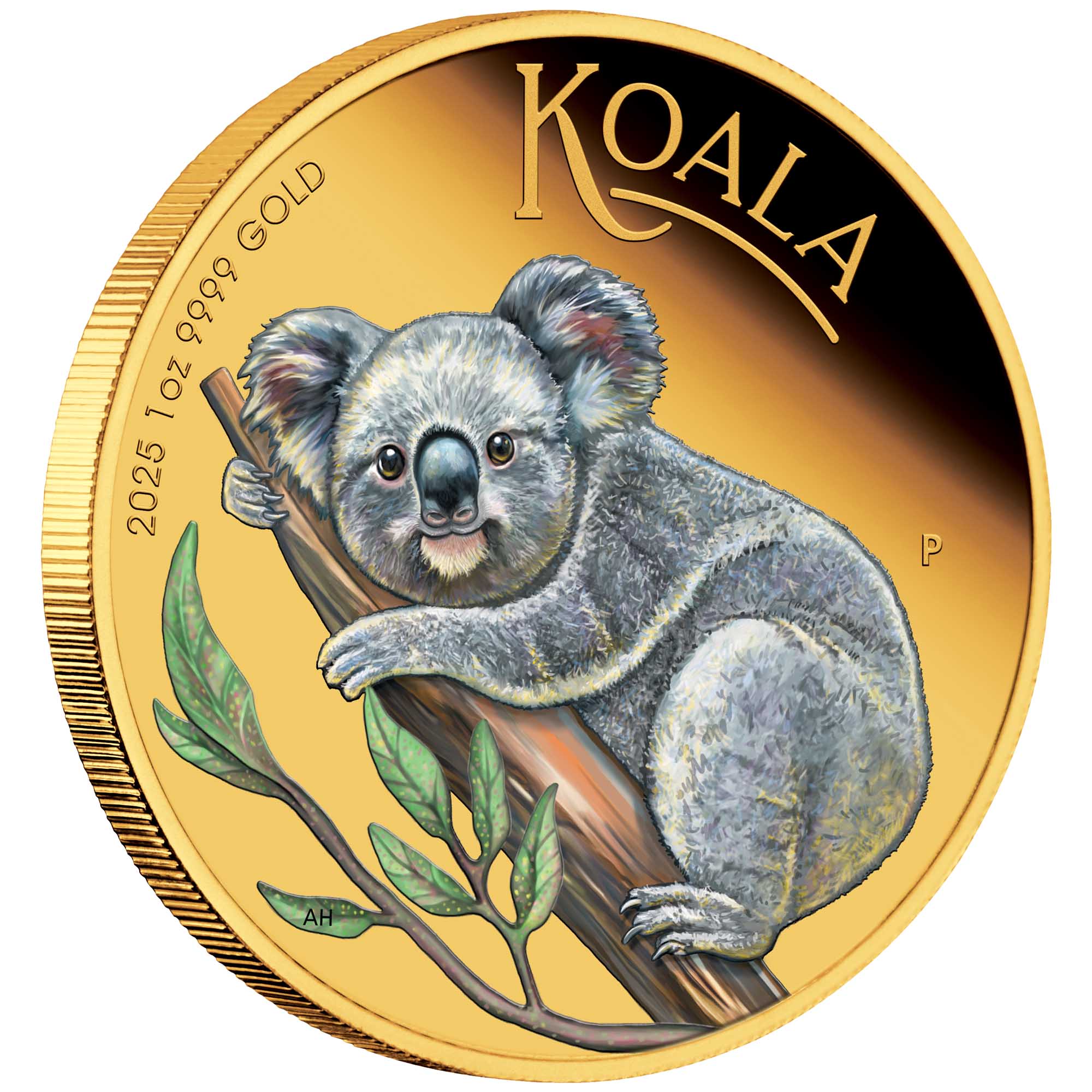 06 2025 Australian Koala 1oz Gold Proof Coloured Coin on edge HighRes