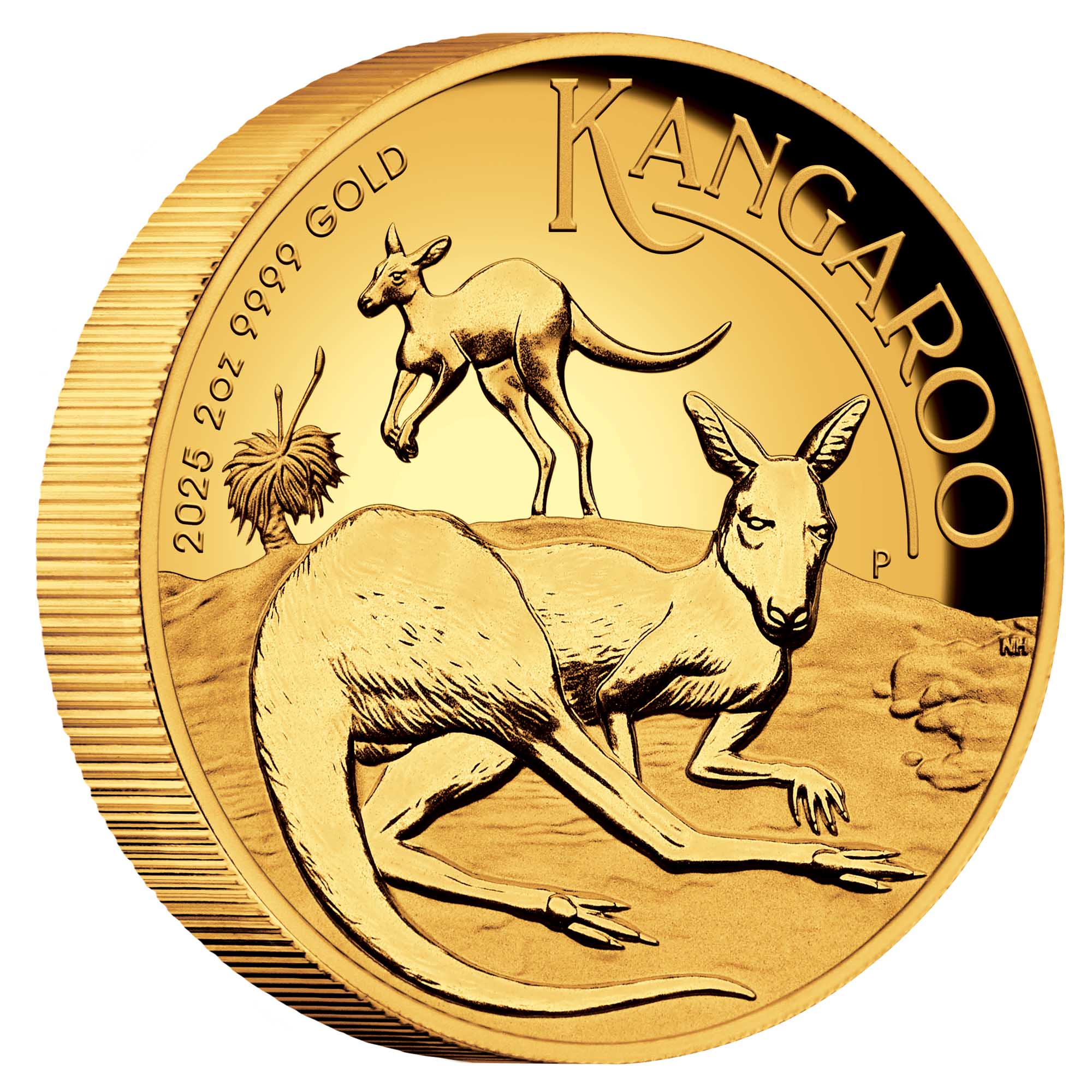 06 Australian Kangaroo 2025 2oz Gold Proof High Relief Coin OnEdge HighRes