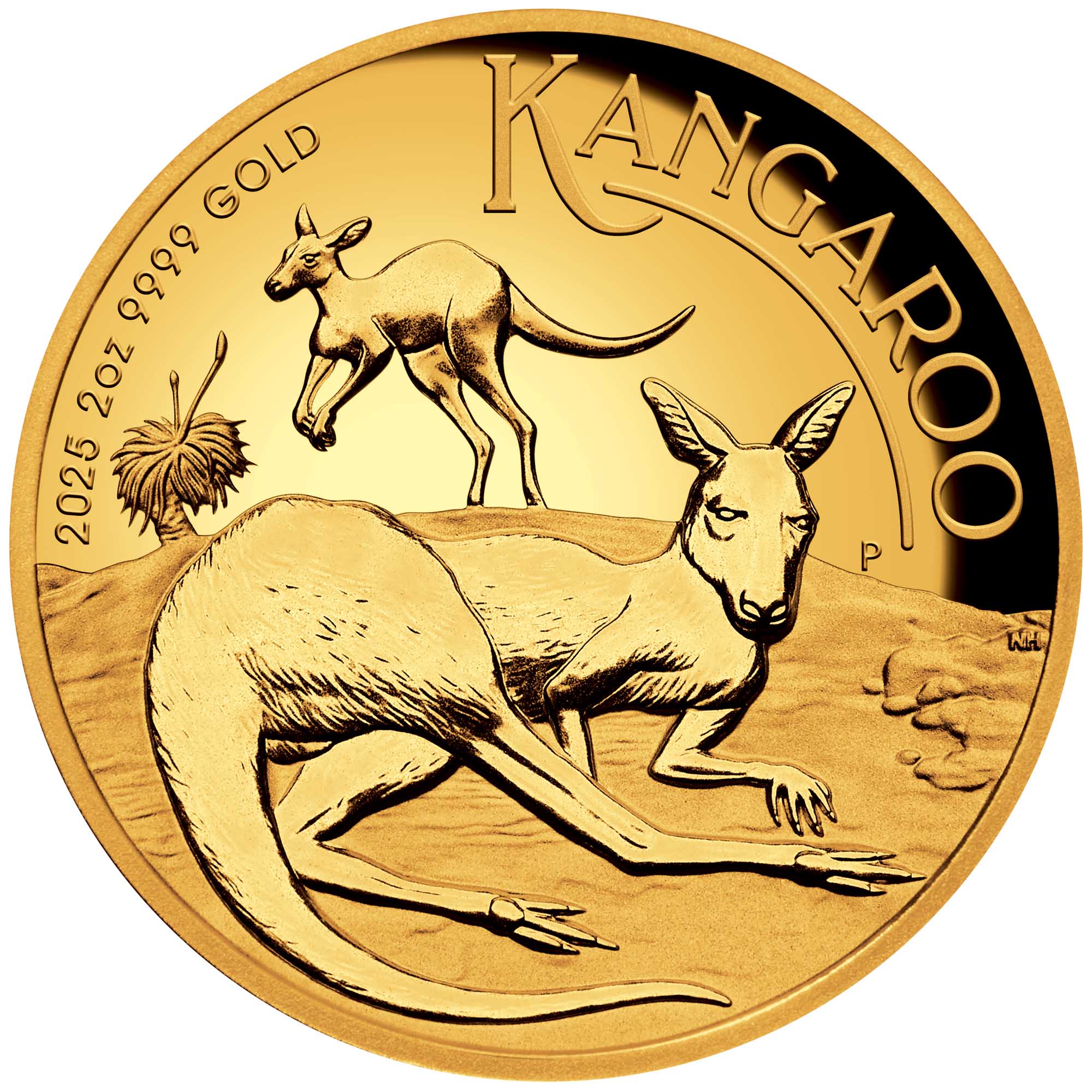 07 Australian Kangaroo 2025 2oz Gold Proof High Relief Coin StraightOn HighRes